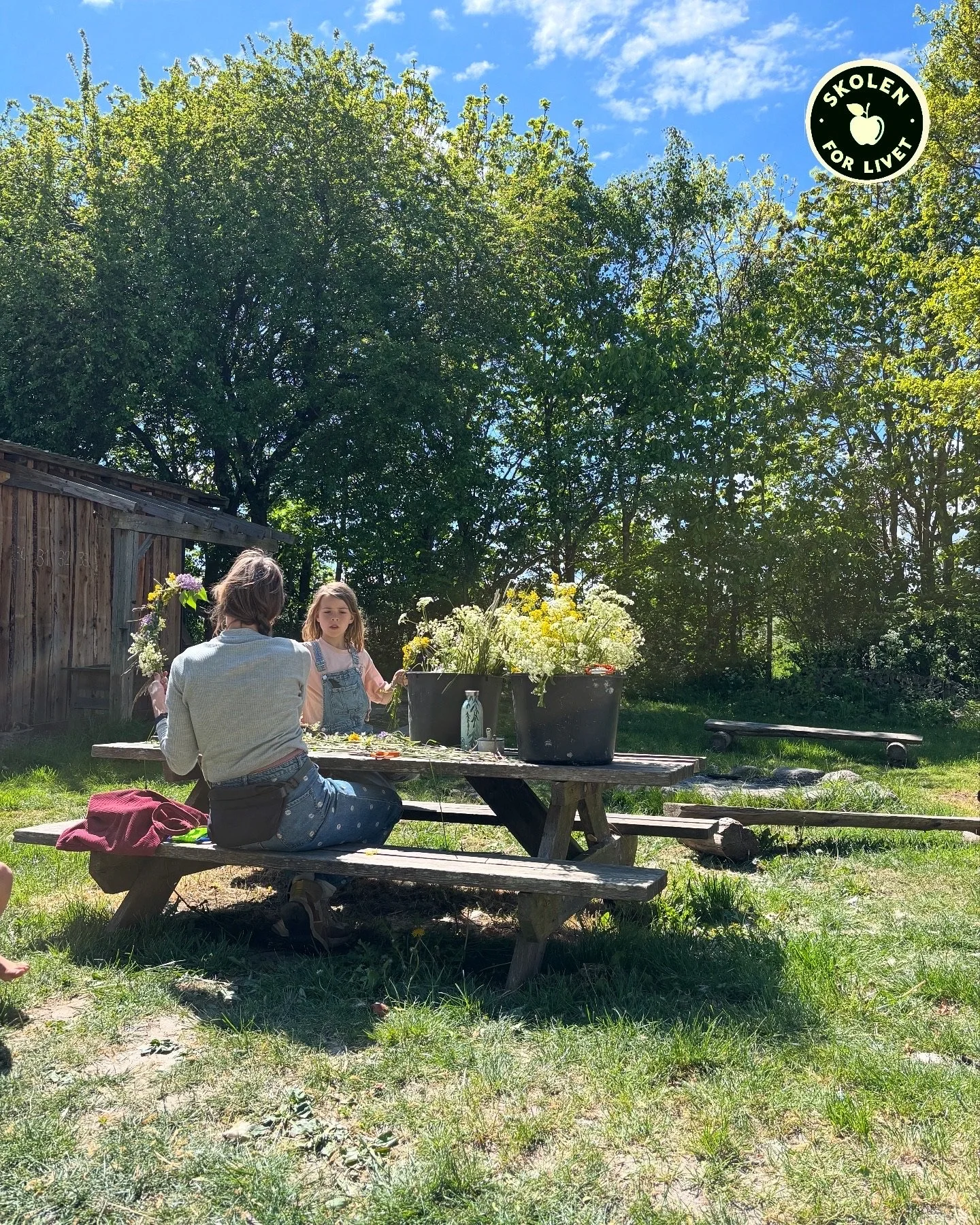 En voksen og en barn sidder ved et klapbord ude i solen under træer, med forårsblomster i store sorte krukker på bordet.