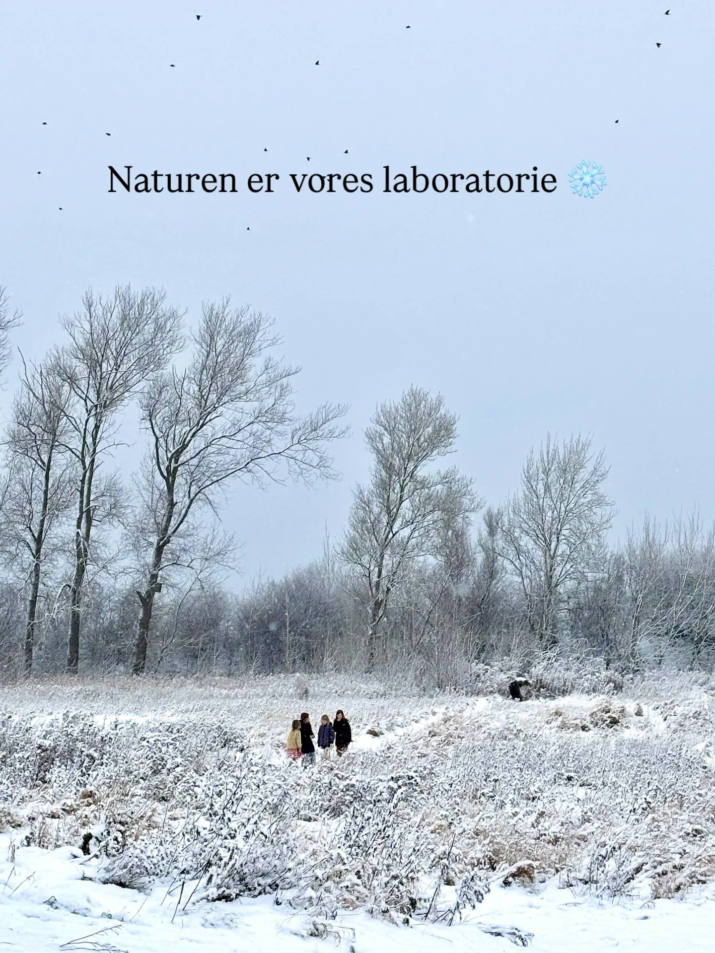 Vi unders&oslash;ger vandets tre tilstandsformer og arbejder med frost og naturens frostv&aelig;sker gennem eksperimenter i sneen ❄️

Vi elsker, n&aring;r undervisningen rykker ud. For os er naturen et vigtigt l&aelig;ringsrum og et uendeligt fagloka