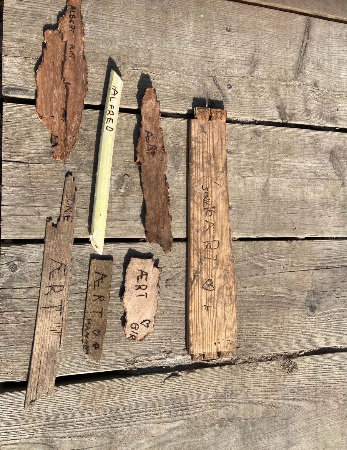 Hele skolen er i fuld gang med projektet &ldquo;Fra have til mave&rdquo; 🌱

Der forspires, plantes i skolehaven og arbejdes med biodiversitet.

Vi laver ogs&aring; plantepinde med en br&aelig;nder og &oslash;ver matematik, n&aring;r vi s&aring;r. 

