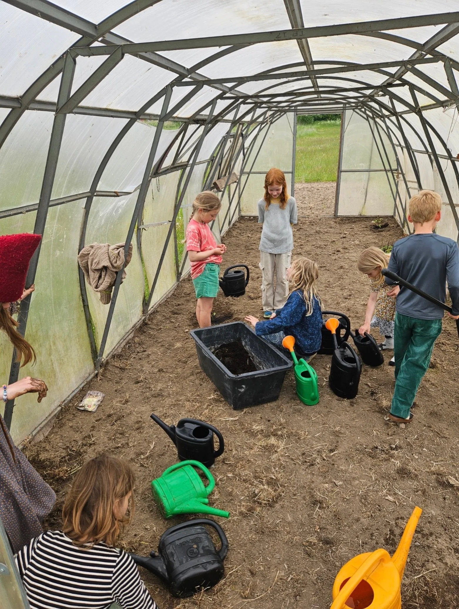 Det er fuld gang i at plante ude i vores polytunnel - hvor vi elsker den blev flyttet til arbejdsdag og derfor nemmere at bruge i hverdagen 💚 

#skolenforlivet #polytunnel #plante #selvdyrk #gr&oslash;ntsager