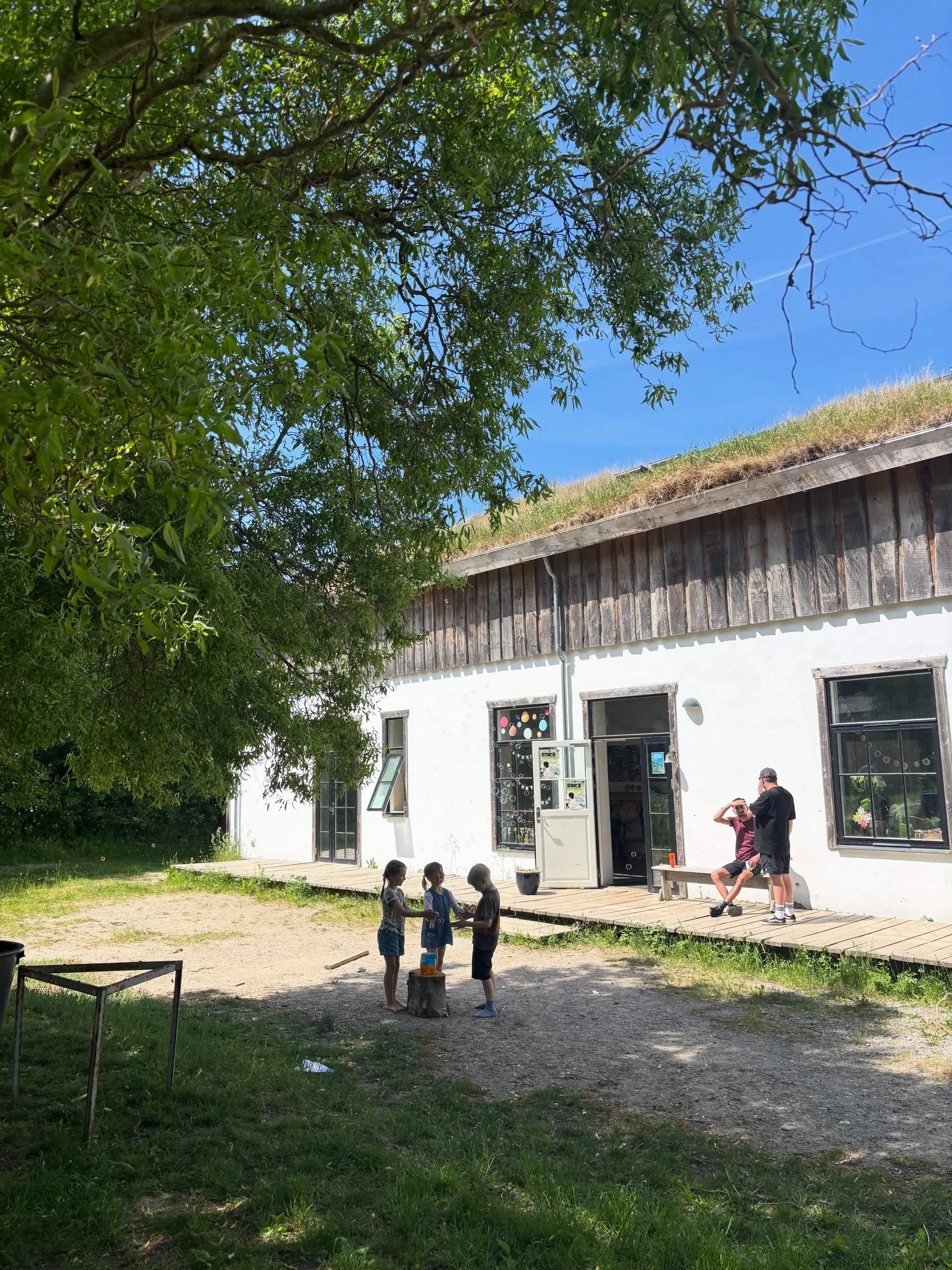 Demokrati handler ikke kun om at stemme &ndash; det handler ogs&aring; om at lytte, deltage og tage ansvar for f&aelig;llesskabet.

Det &oslash;ver vi os p&aring; hver dag p&aring; Skolen for Livet.

Gl&aelig;delig Grundlovsdag! 🌱

#skolenforlivet #