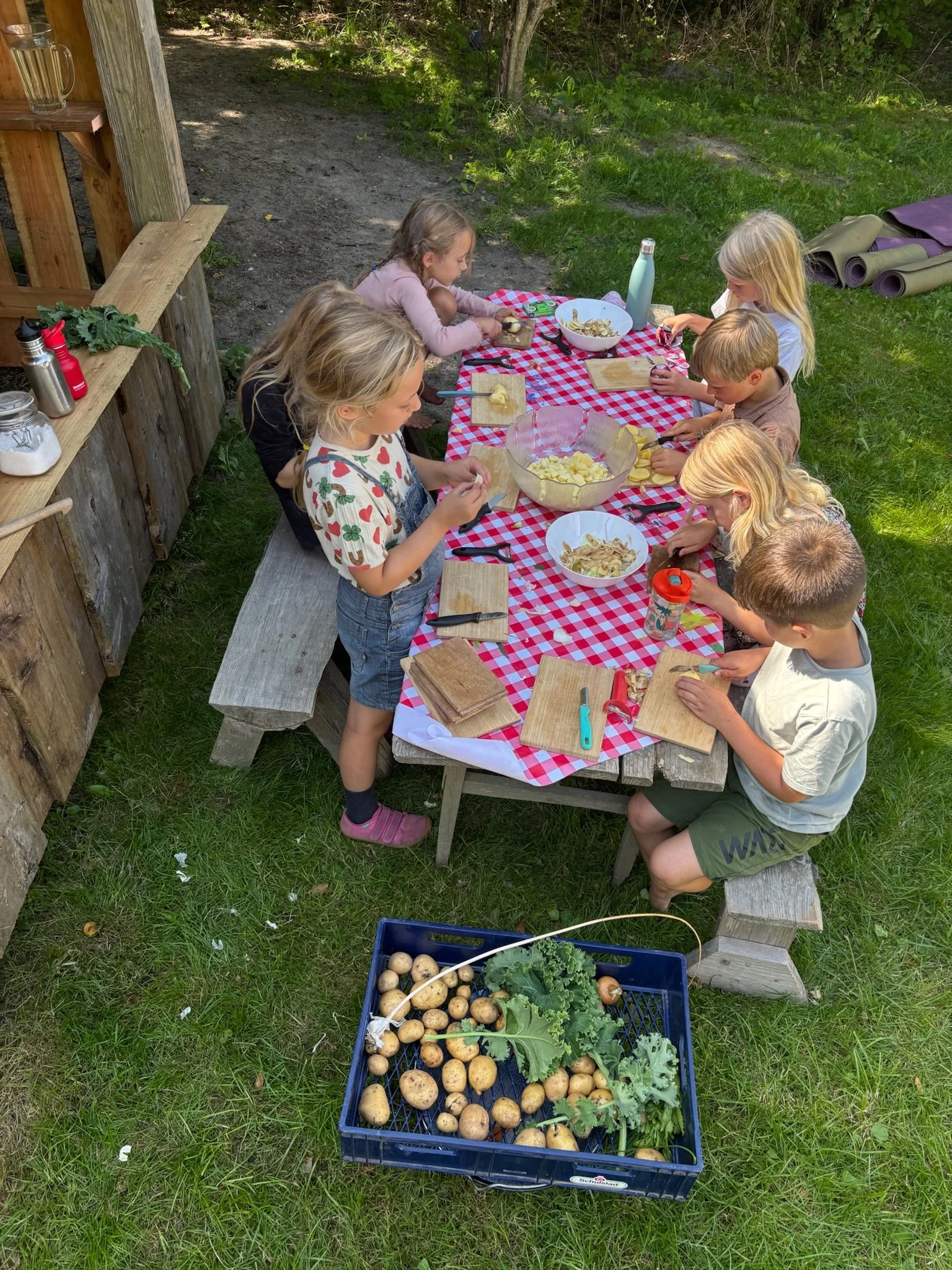 Børn sidder ved et udendørs picnicbord med en rød-hvid checkered dug, hvor de skærer kartofler. Der er en krukke med kartofler og grønt på jorden foran bordet.
