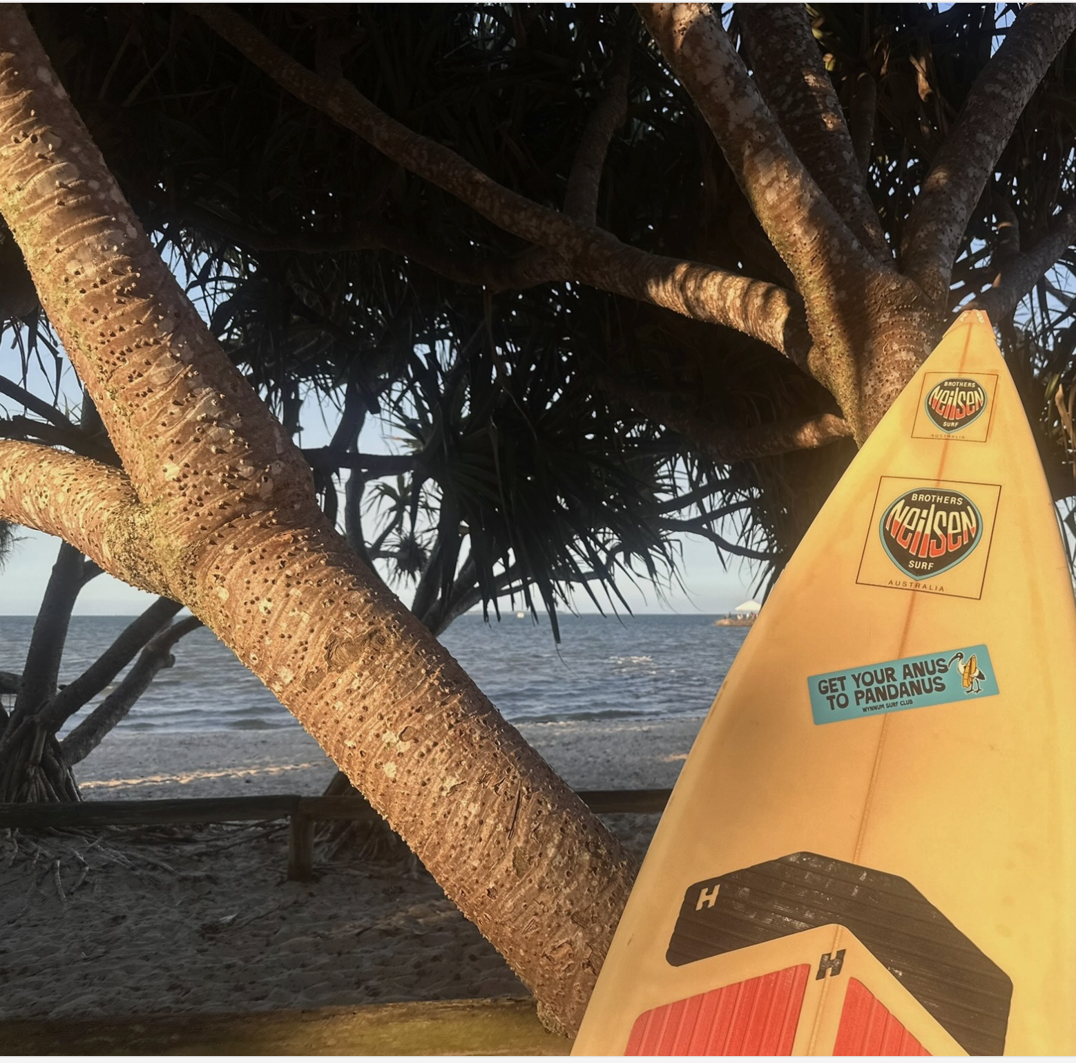 Dear Pandanus Beach: Apparently You’re Queensland’s “Worst” Beach. We Still Love You.