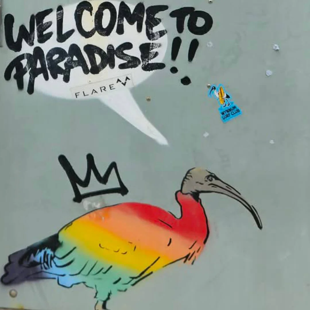 website images_ele.jpg