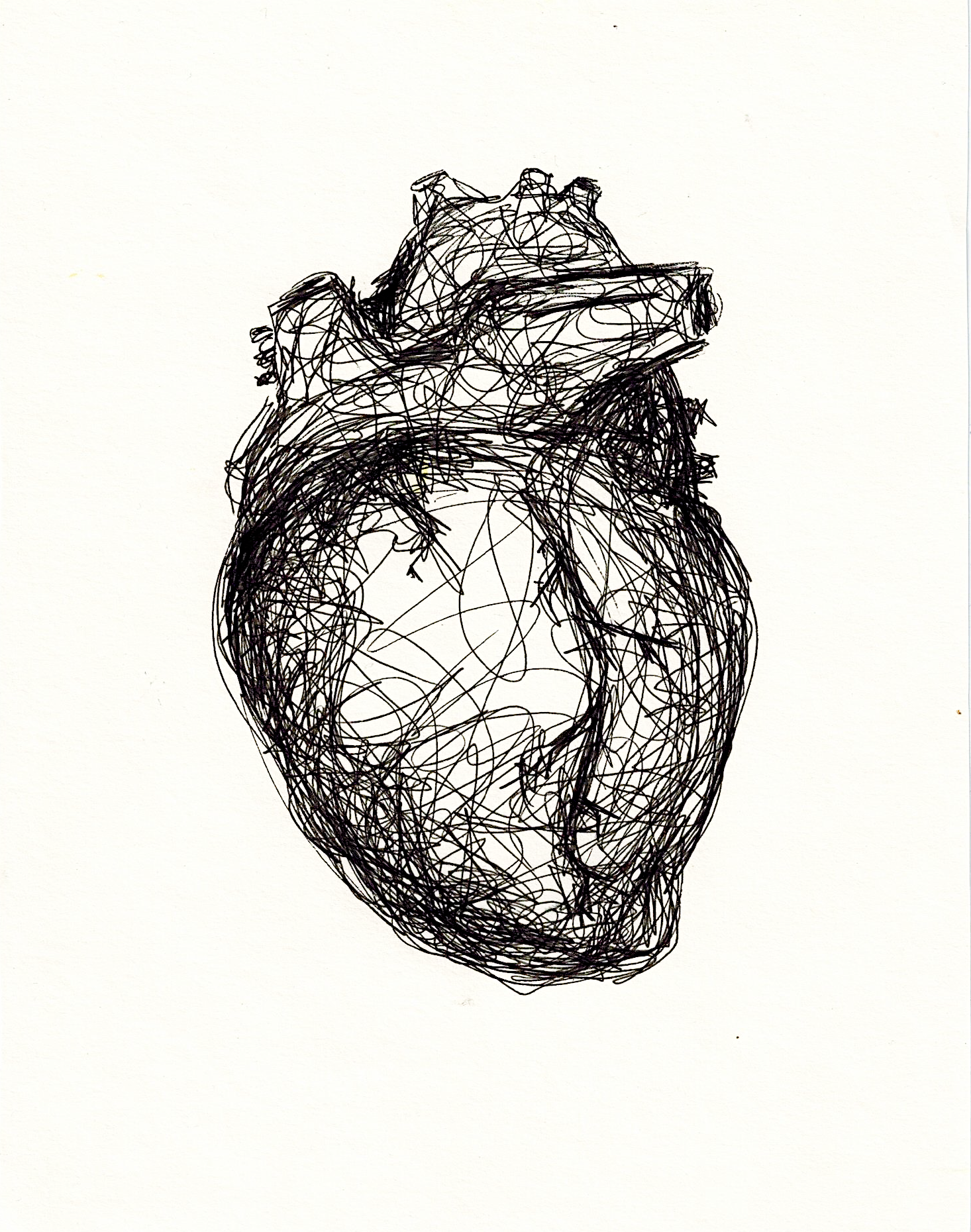 A tribute to my hardworking heart (2)