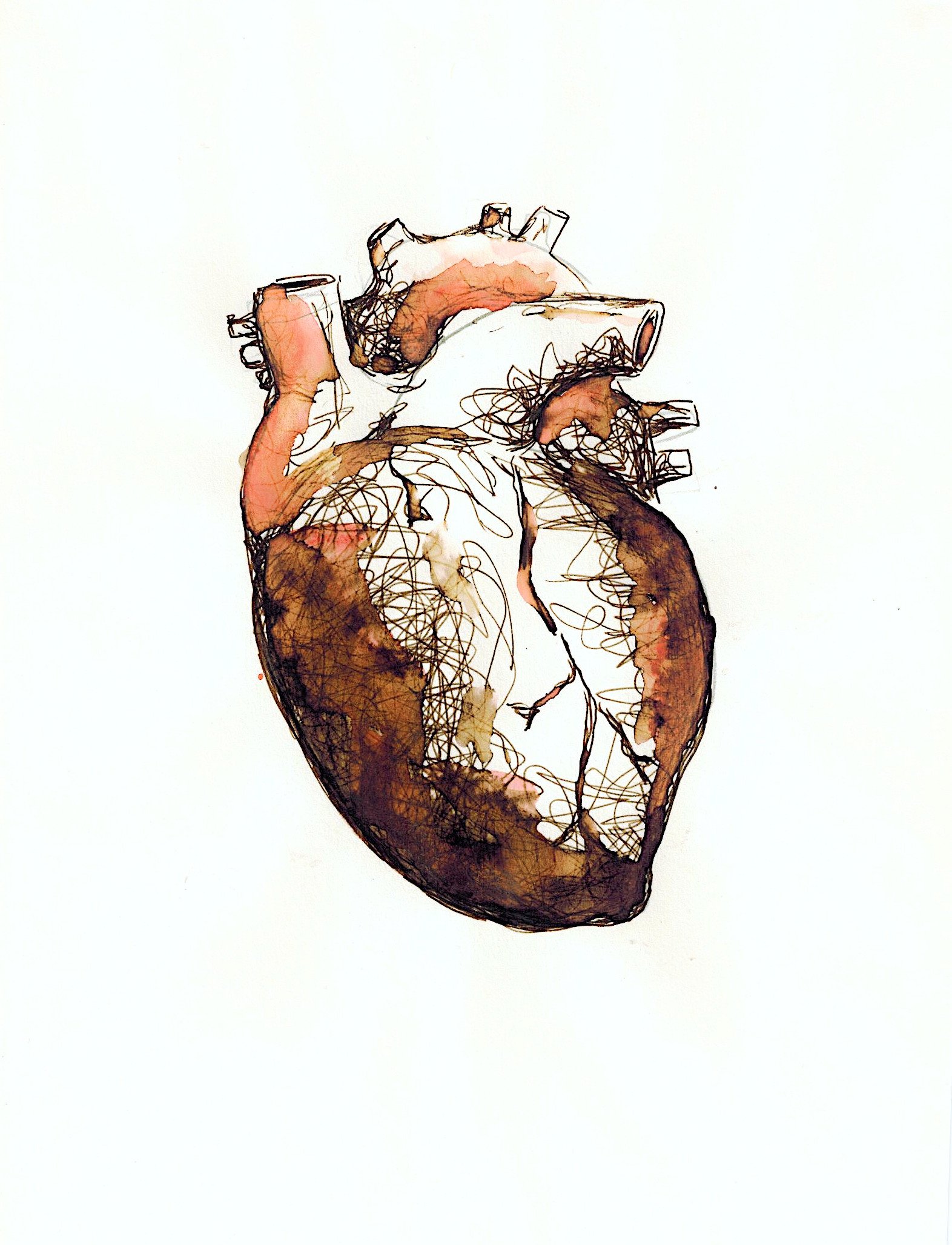 A tribute to my heartworking heart