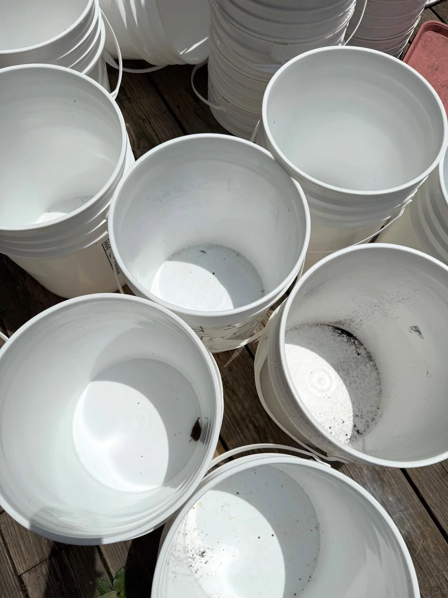 Since 2012, I&rsquo;ve been collecting 5-gallon buckets from area restaurants in Columbus and repurposing them to be used as food scrap collection buckets at @TheCompostExchange. 

After selling that business in 2024, I continued my sustainability ca