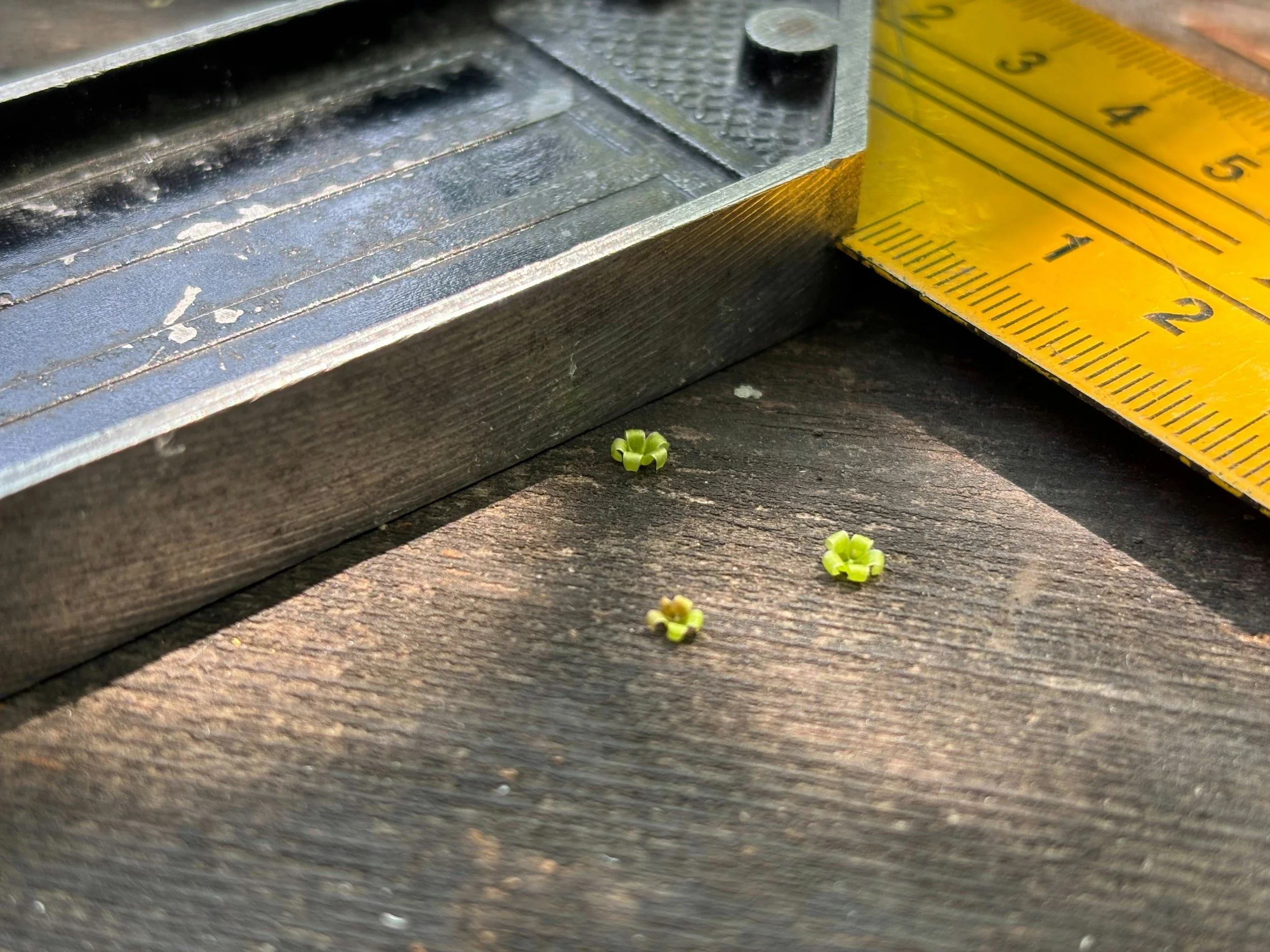 Seasonal Timing for Columbus Backyard Projects