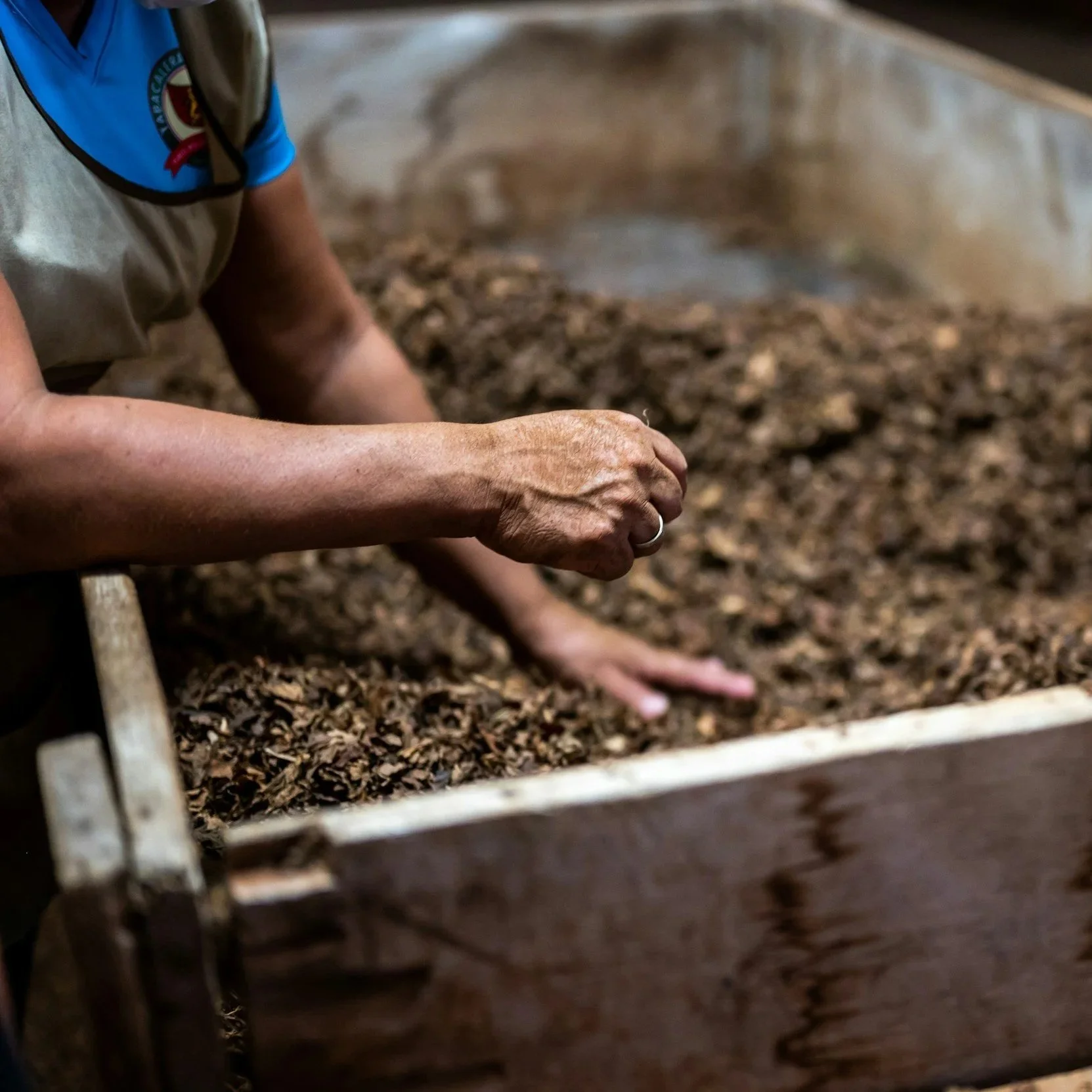 The 3-Bin Composting System (Plain &amp; Simple)