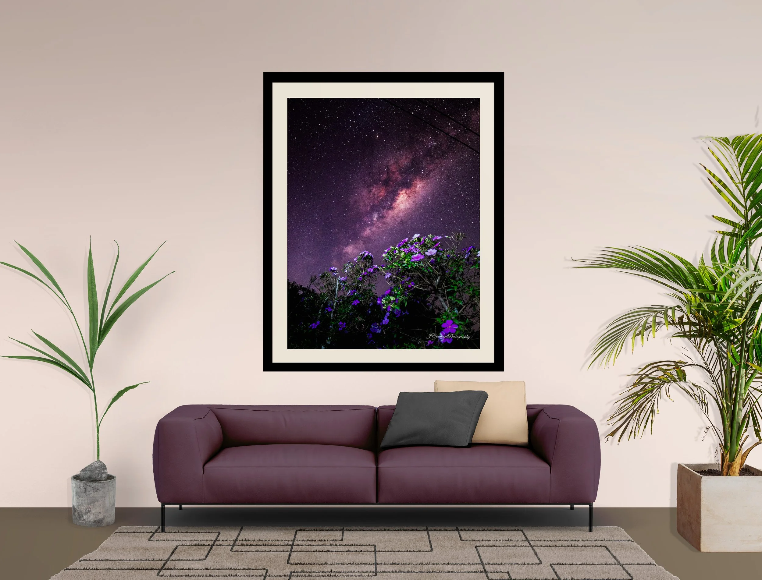 Purple Flowers Maleny Botanic Gardens Mock.jpg