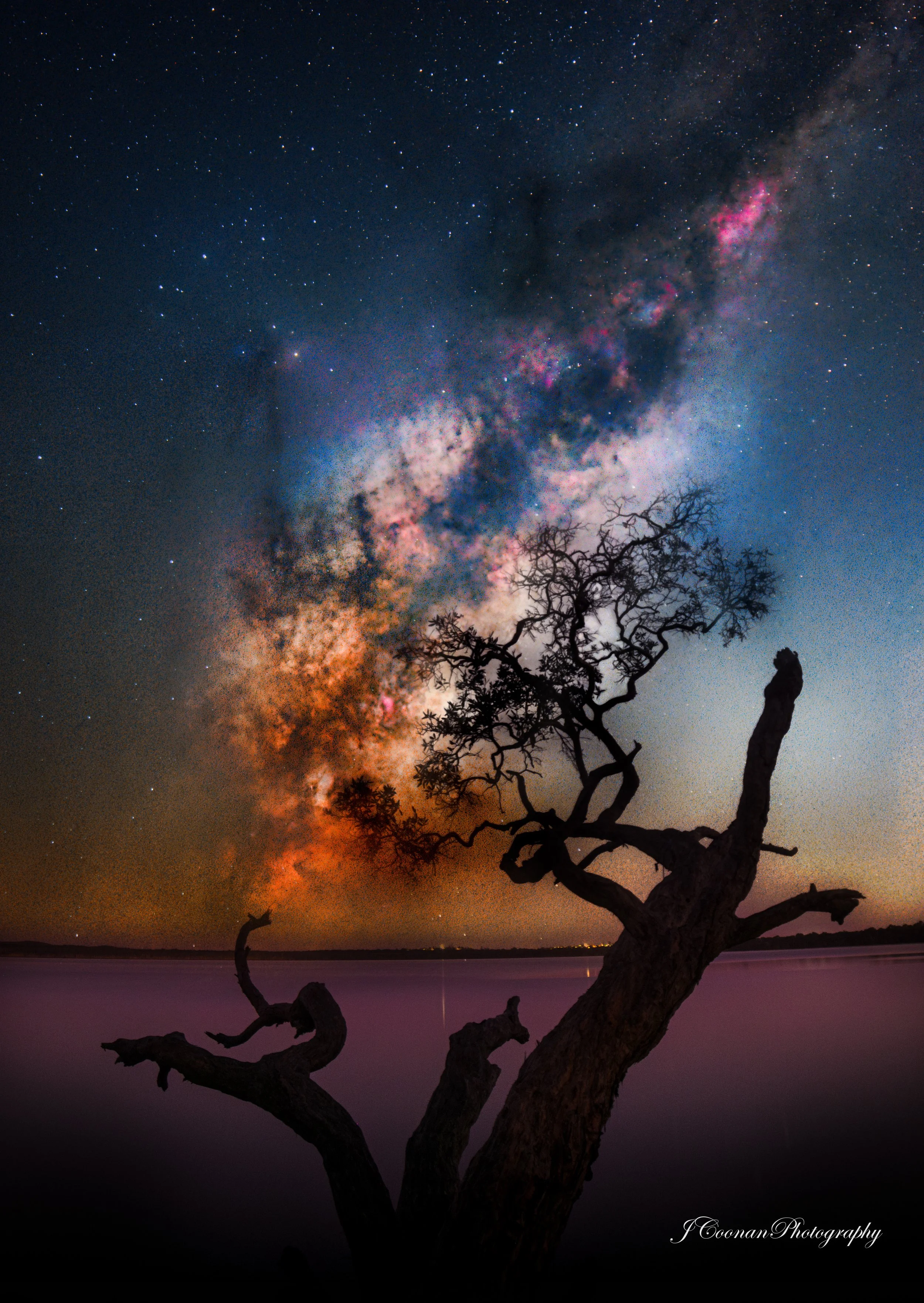 Lake Weyba Tree and Milkyway 28.04.25.jpg
