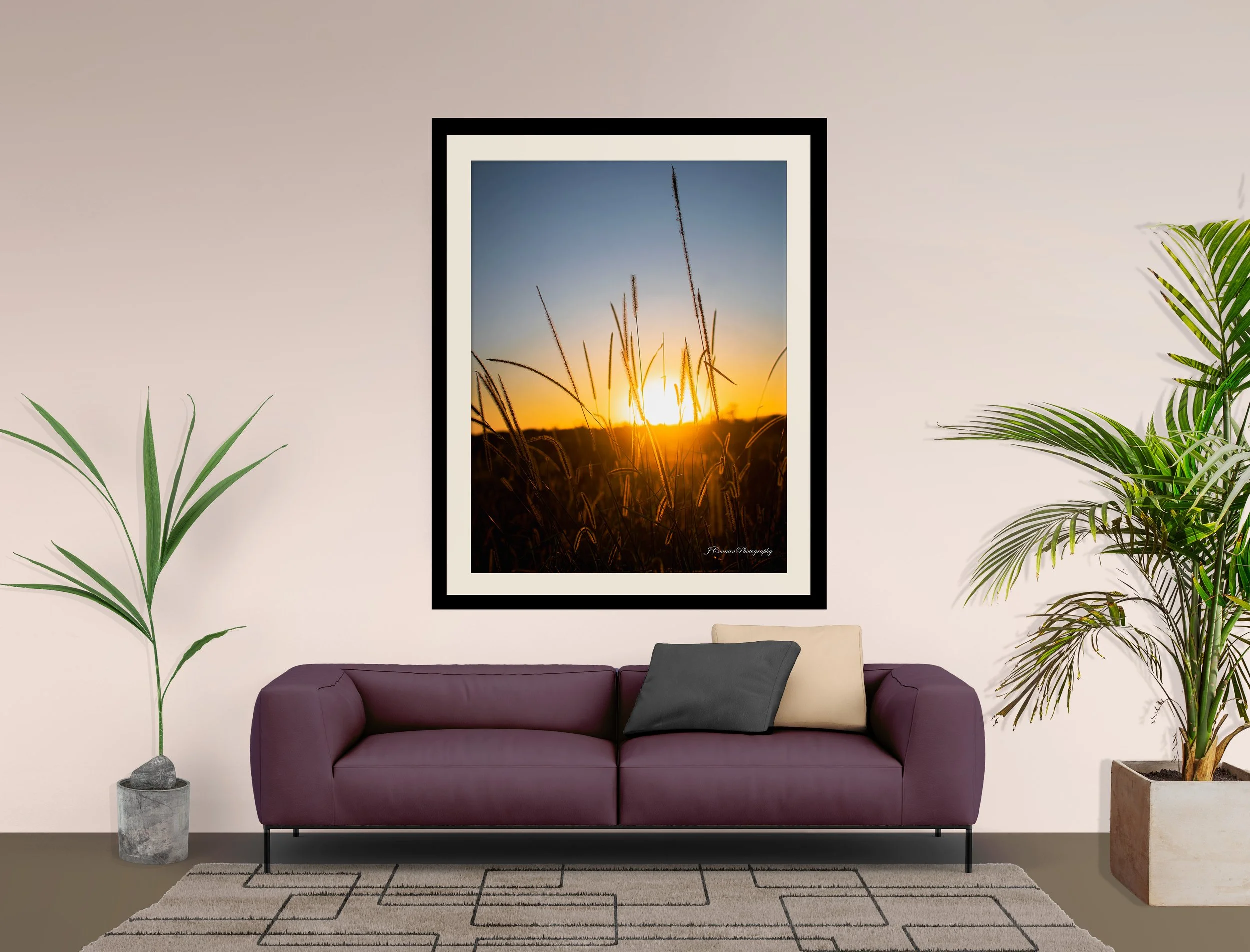 Field of Longrass and Sunset Mock.jpg