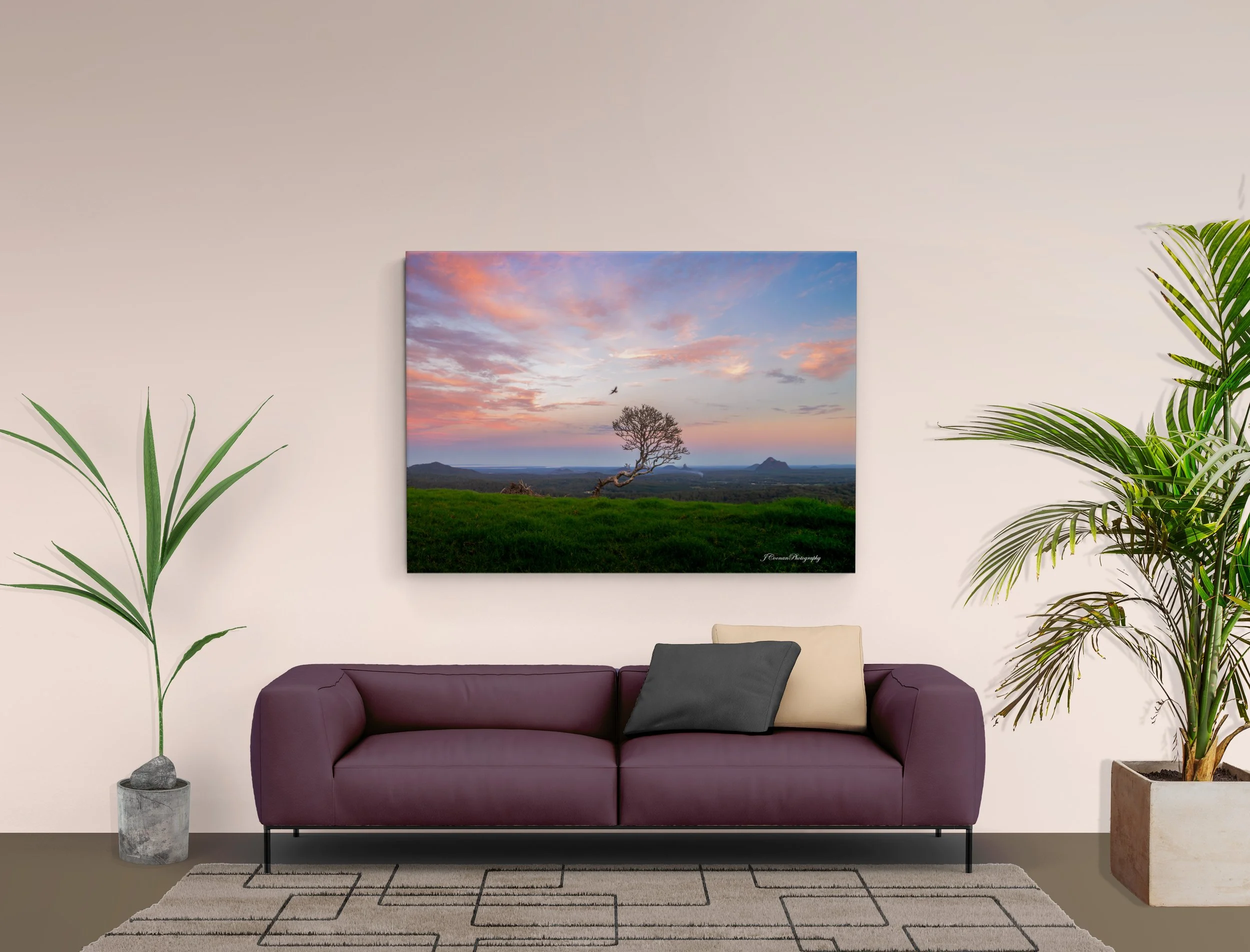 Maleny Scraggle Tree Mock.jpg