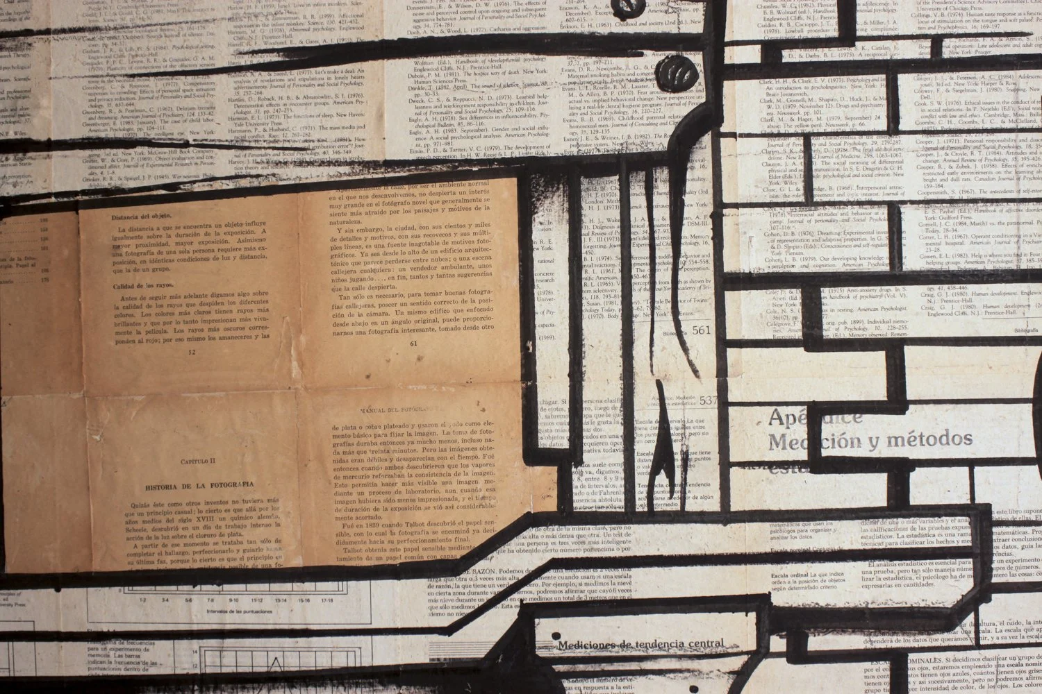 LR f-murals-book-page-collage-detroit-derelict-drawing-daniel-speight-the-soft-city-detail.jpg