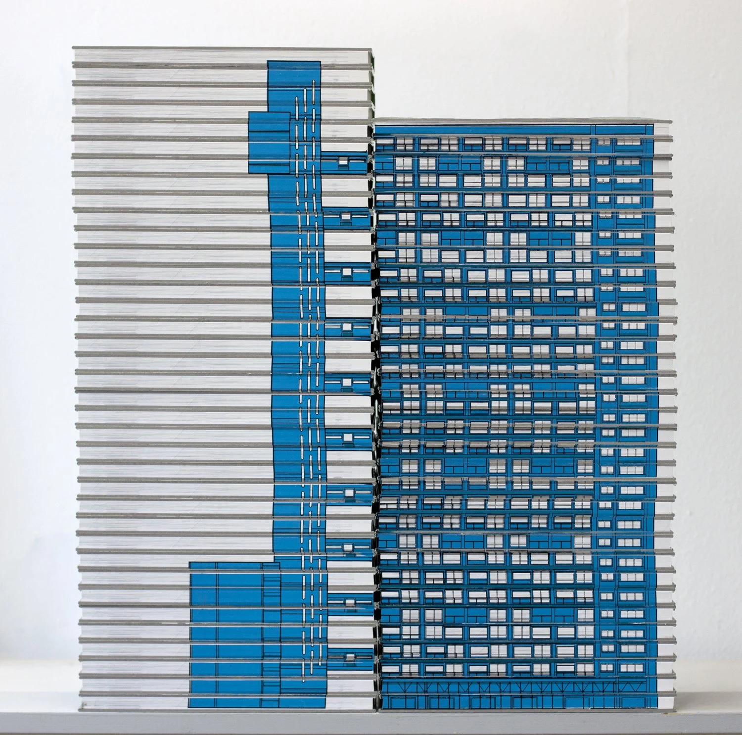 LR c-book-blocks-brutalism- trellick-architecture-daniel-speight-the-soft-city.jpg