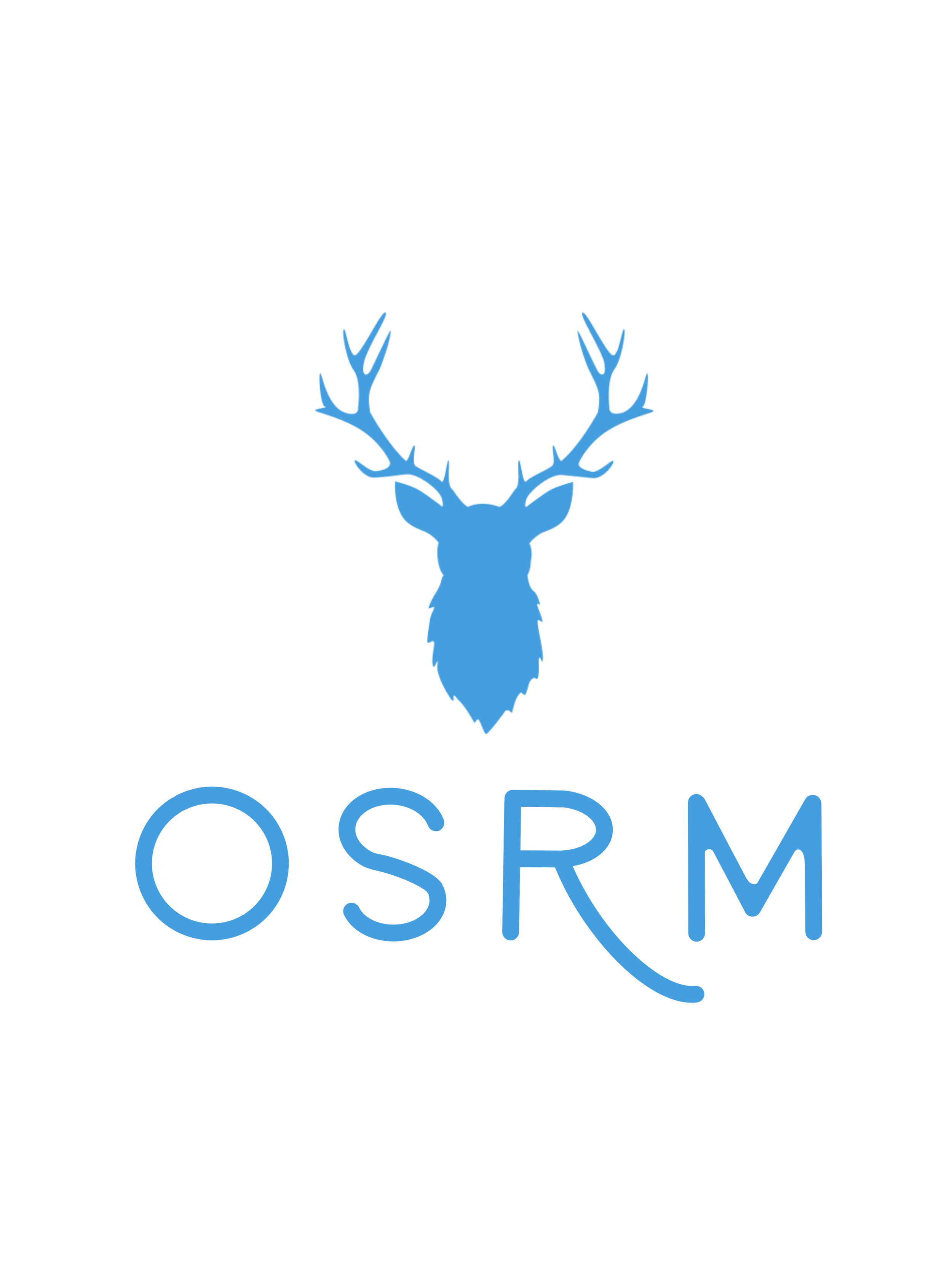 Optimum Security & Risk Management