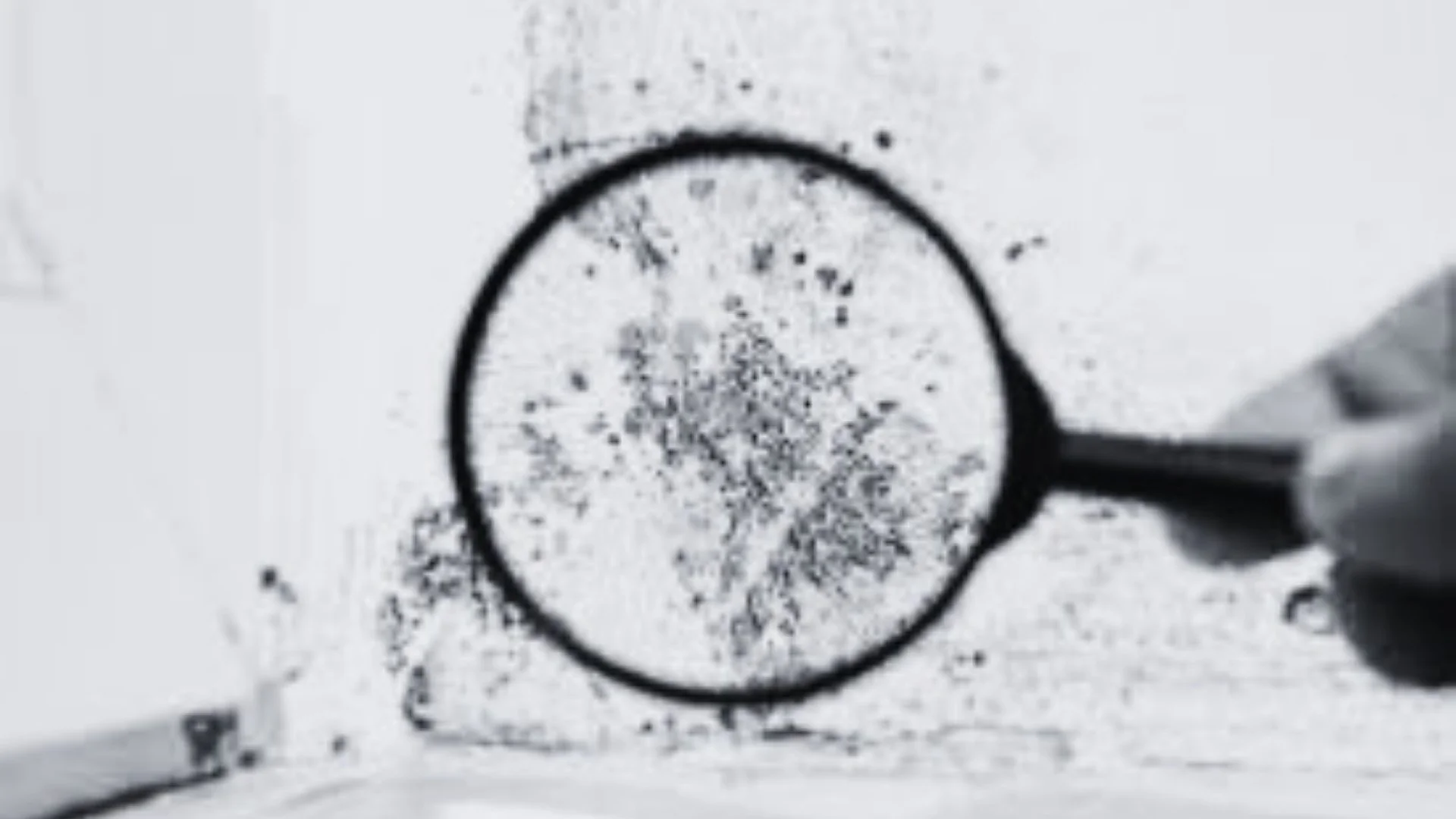What To Eat When You Have Mould Illness
