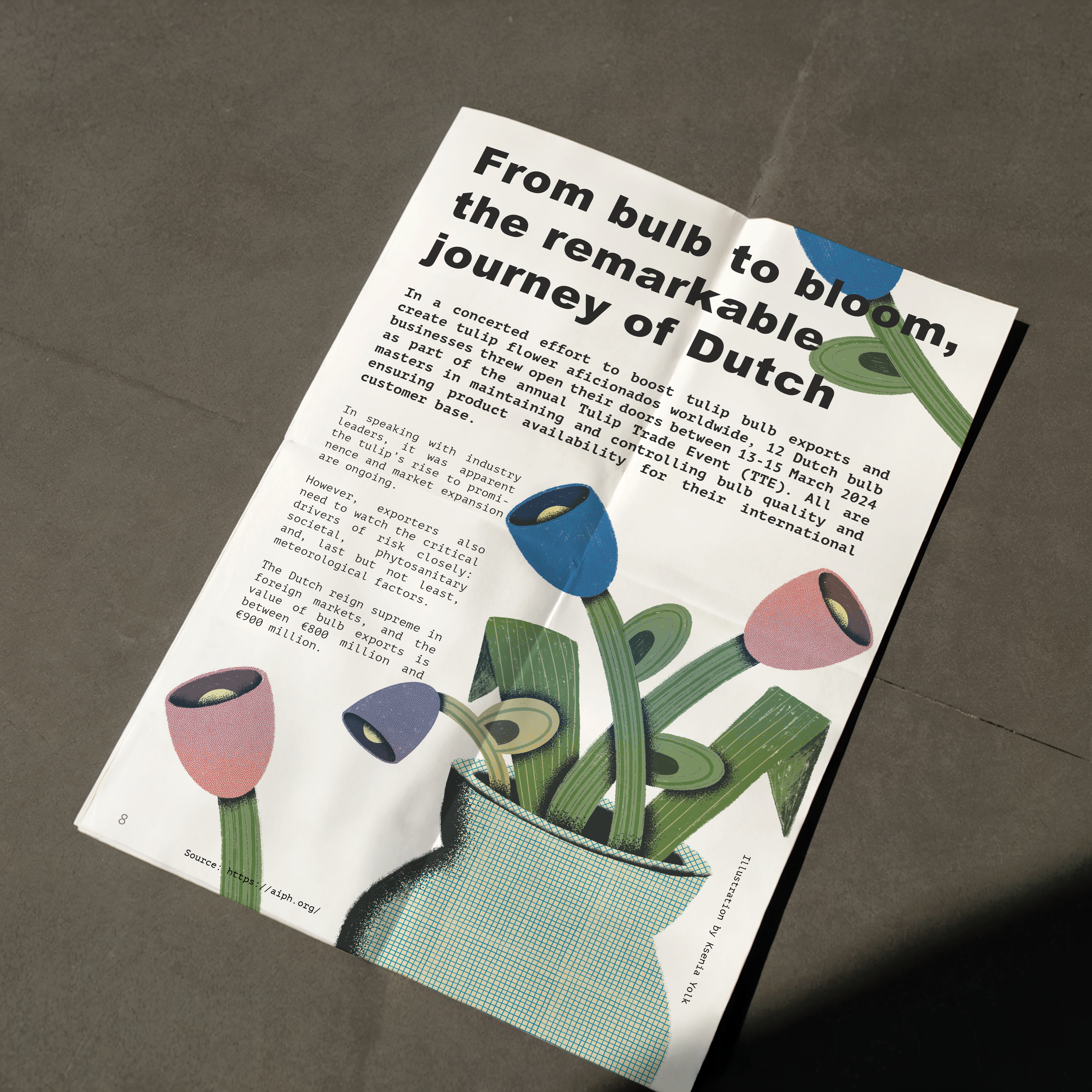 Journey of Dutch Tulips