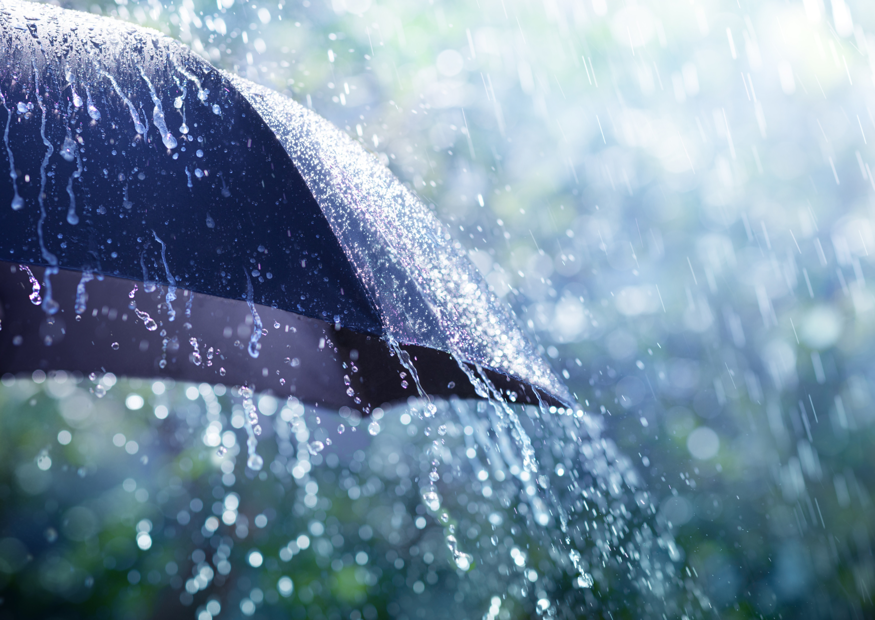 Rainy half term ideas