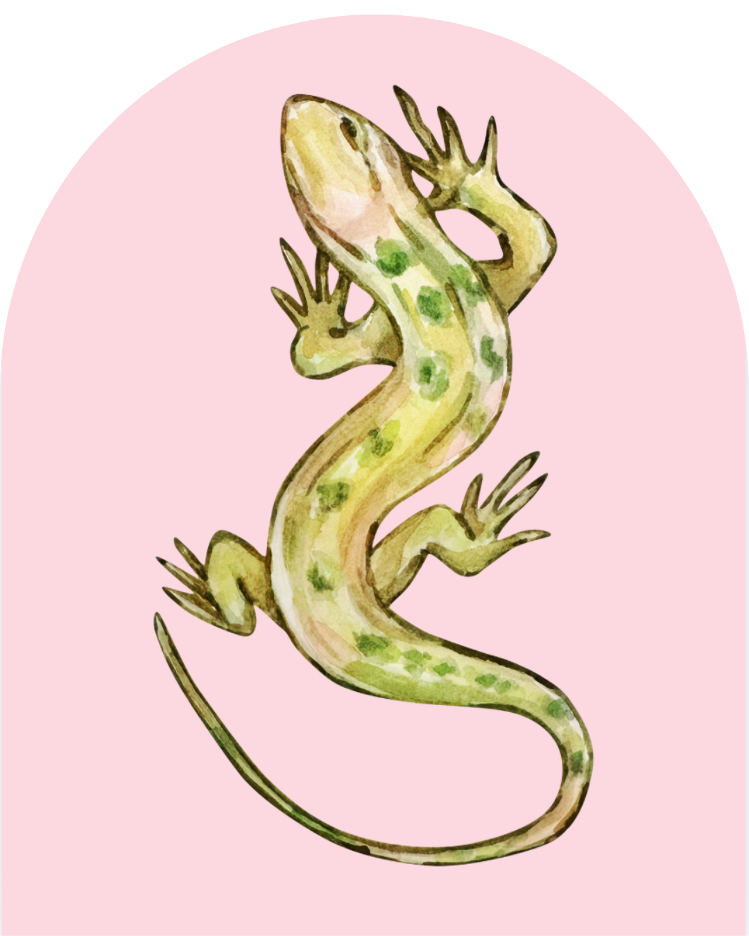 7.png