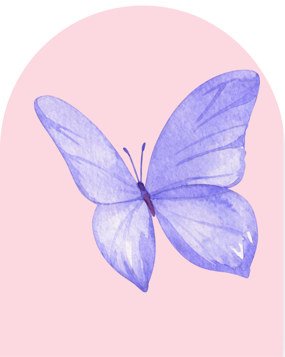 6.png