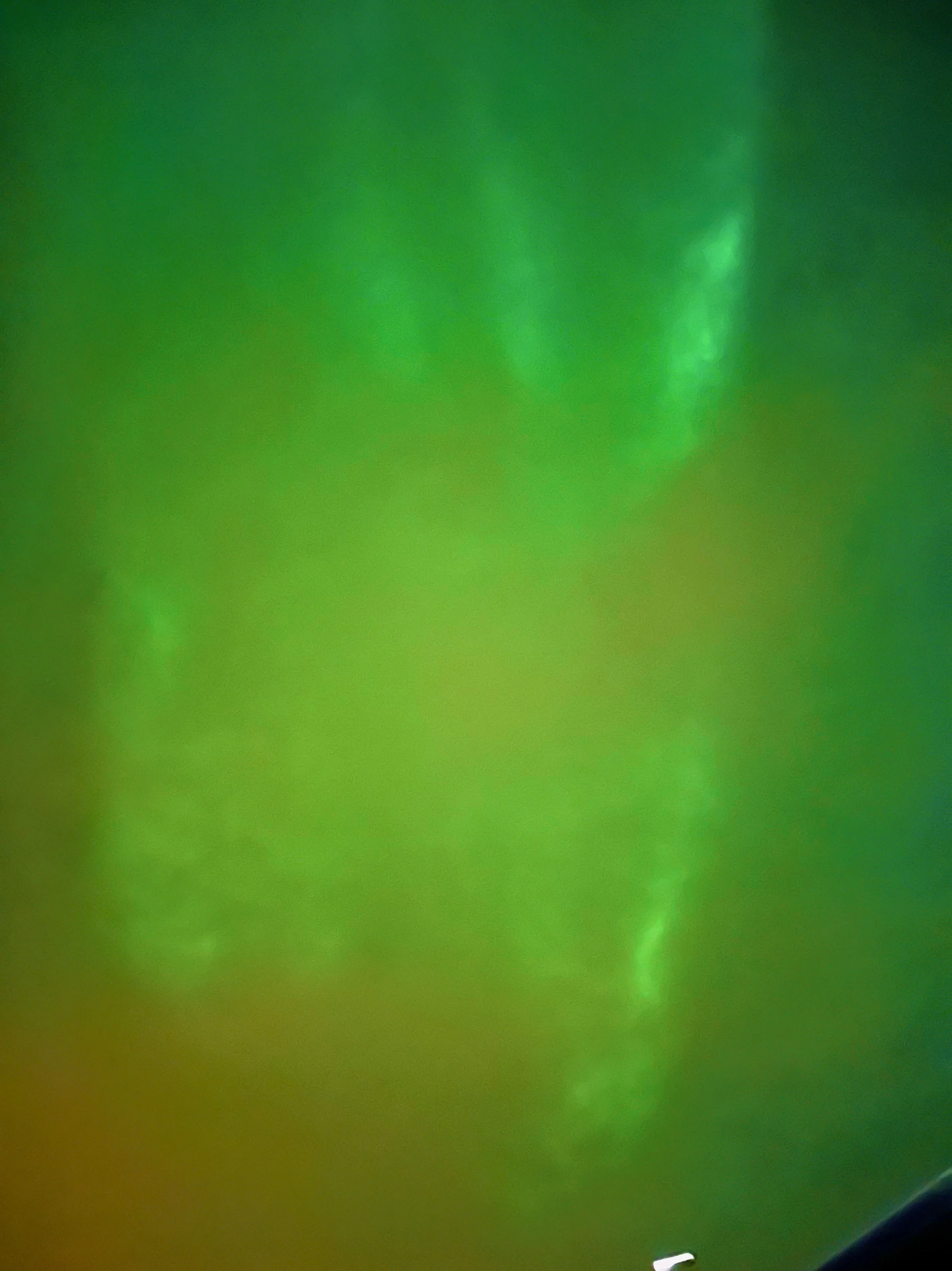 Close-up of a green surface, possibly a leaf or plant, with textured details.