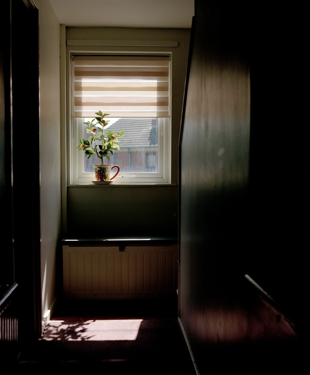 Screenshot 2025-11-11 at 12.30.36.png