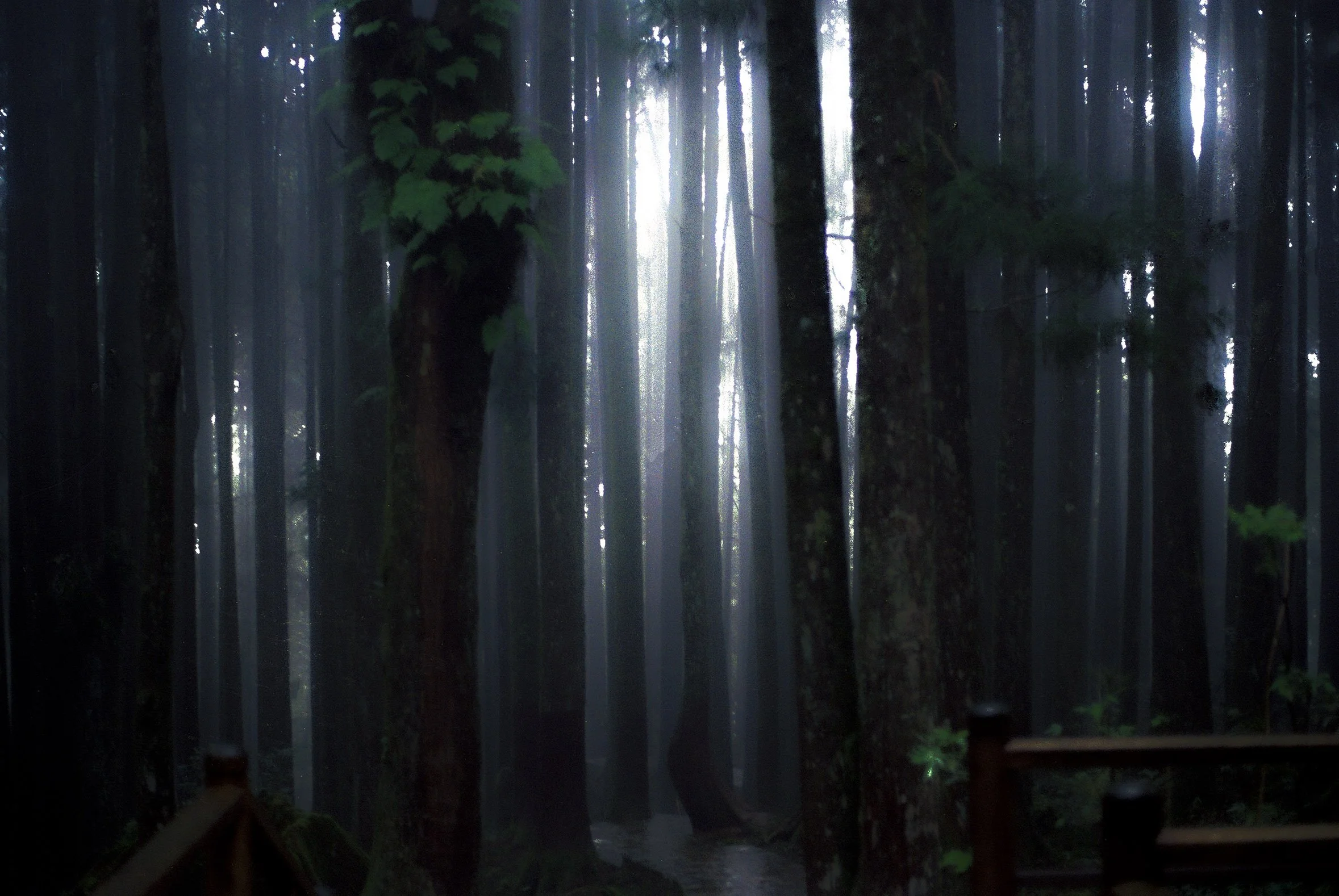 Untitled (25) copy 2.jpg