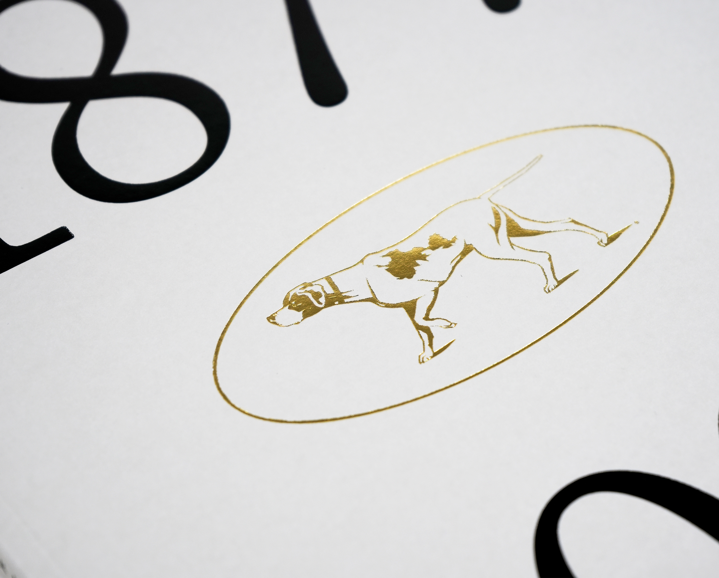 Softback cover Gold foil logo edited.png