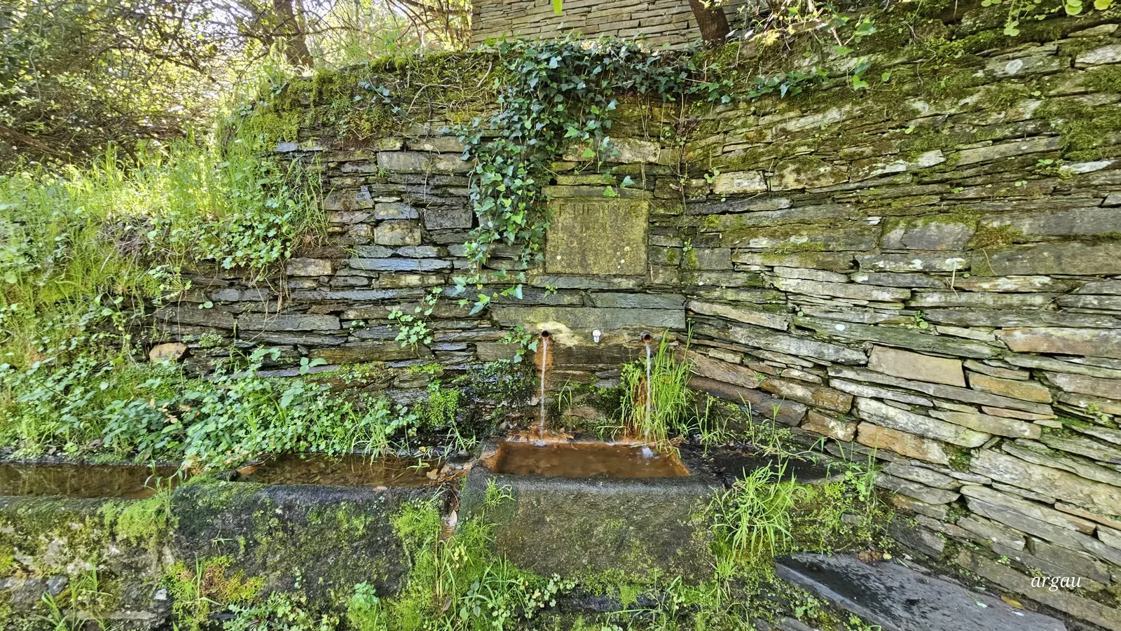 La Fuente del Francés