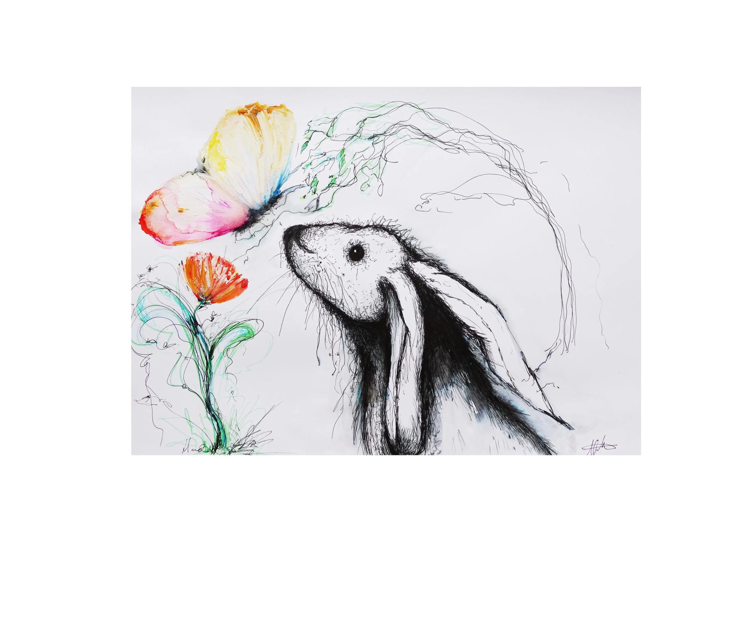 Butterfly and Hare2.jpg