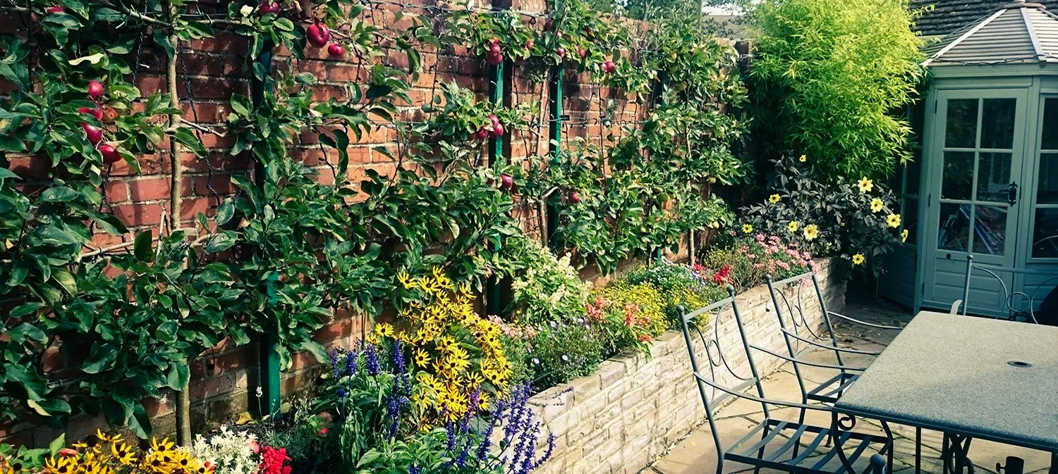 PORTFOLIO HIGHLIGHTS