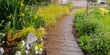 Boardwalk path through colourful drift planting in Brockenhurst.