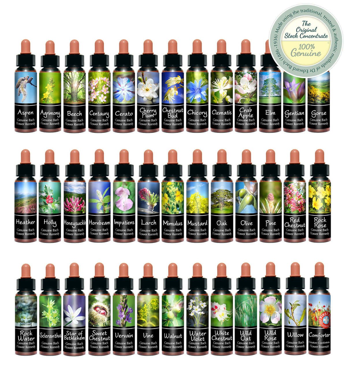 Flower essences in glass bottles