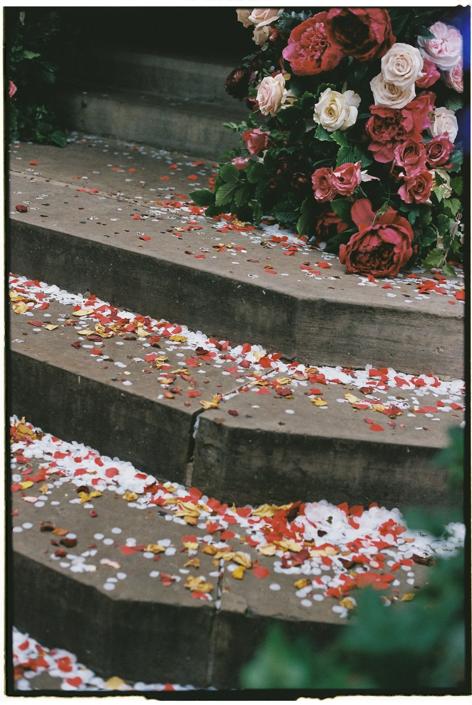Wooden steps covered with scattered flower petals and confetti, with a bouquet of pink and white roses on the top right side.
