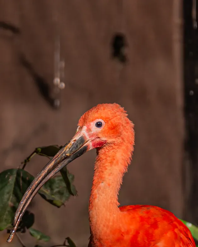 Genuine Moments: What Happens When Eyes Connect