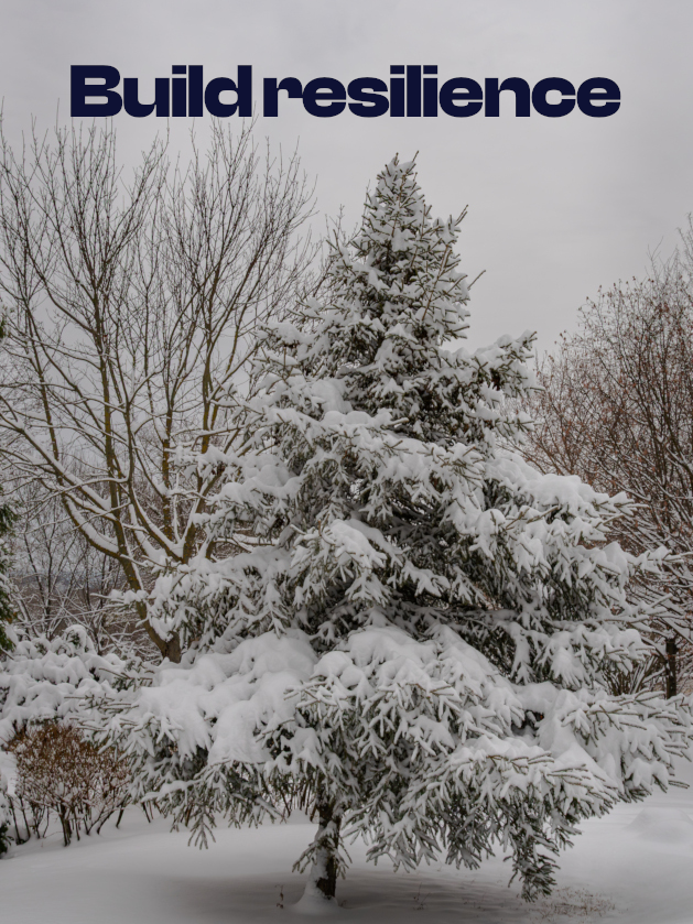 Remove Frustration from Change