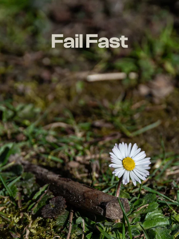 An Underappreciated Skill: How to Fail Fast