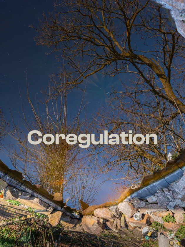 Coregulation: The Human Superpower Over AI