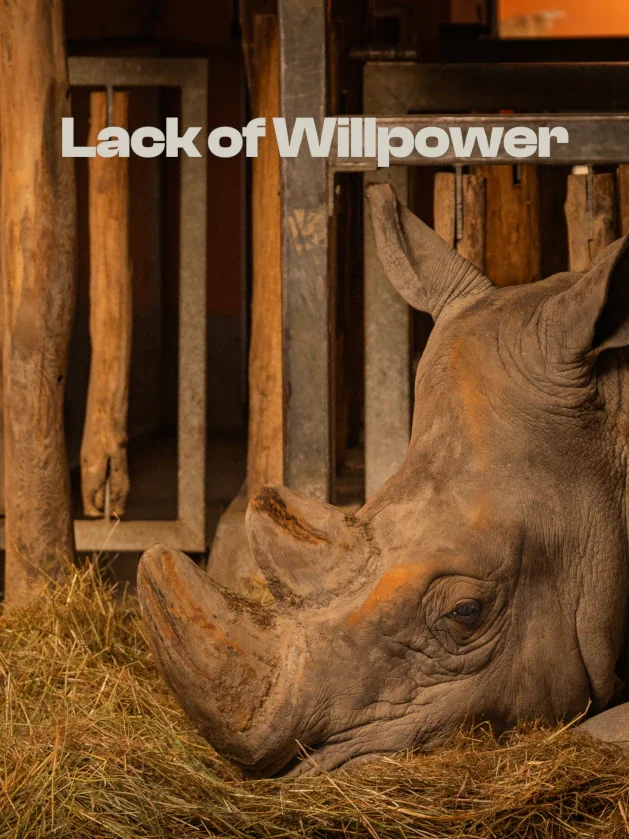 You're not broken for a lack of willpower