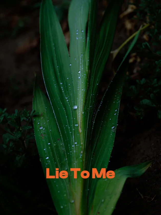 I Don’t Need You To Be Honest With Me