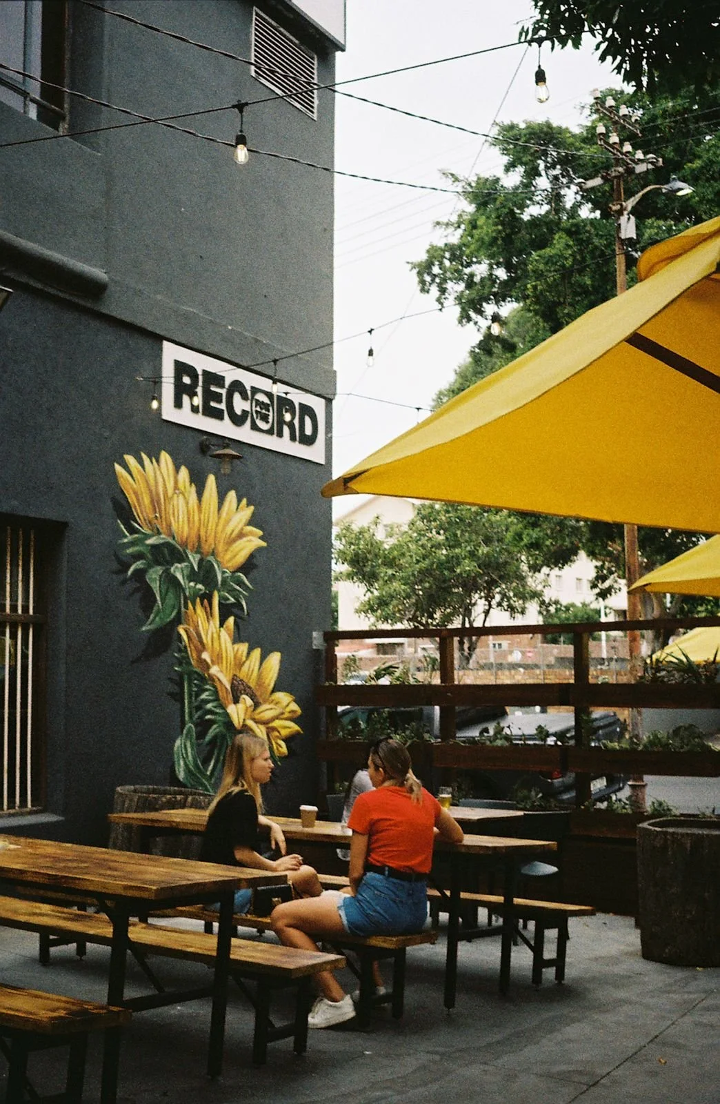 WhatsApp Image 2026-01-14 at 14.57.50.jpeg