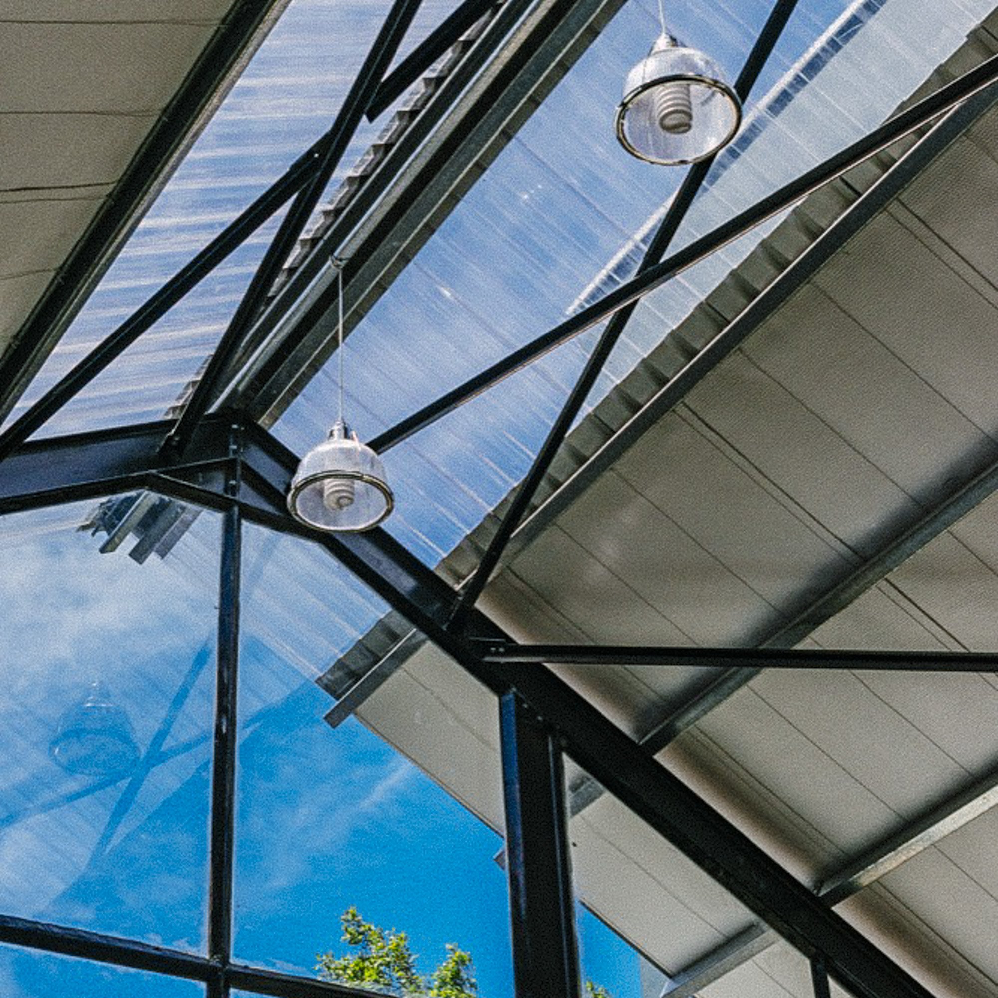 Looking up at a modern glass and steel building with a blue sky and a tree visible through the glass.
