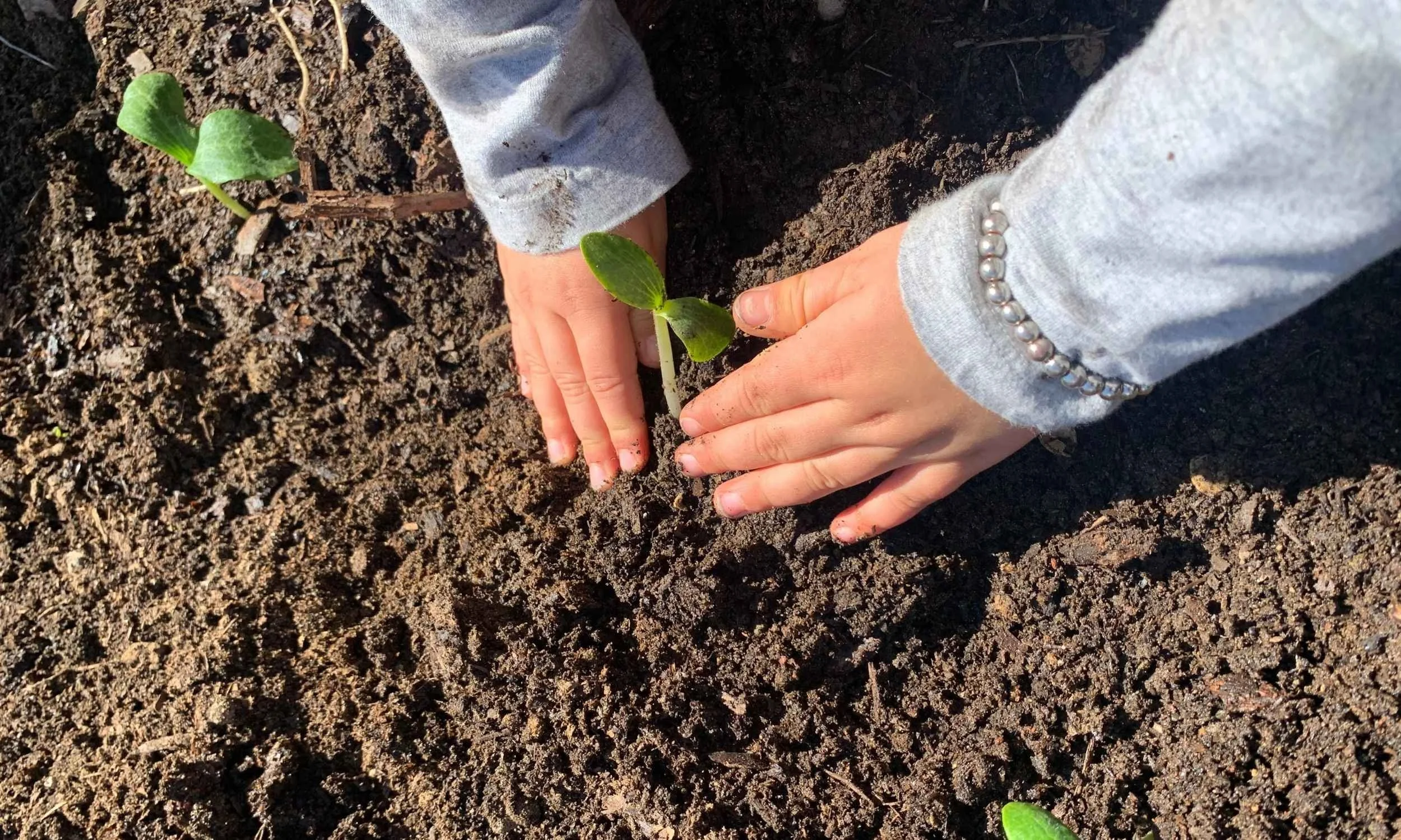 How We Support the Developing Sensory System at Harmony Montessori &amp; Forest School