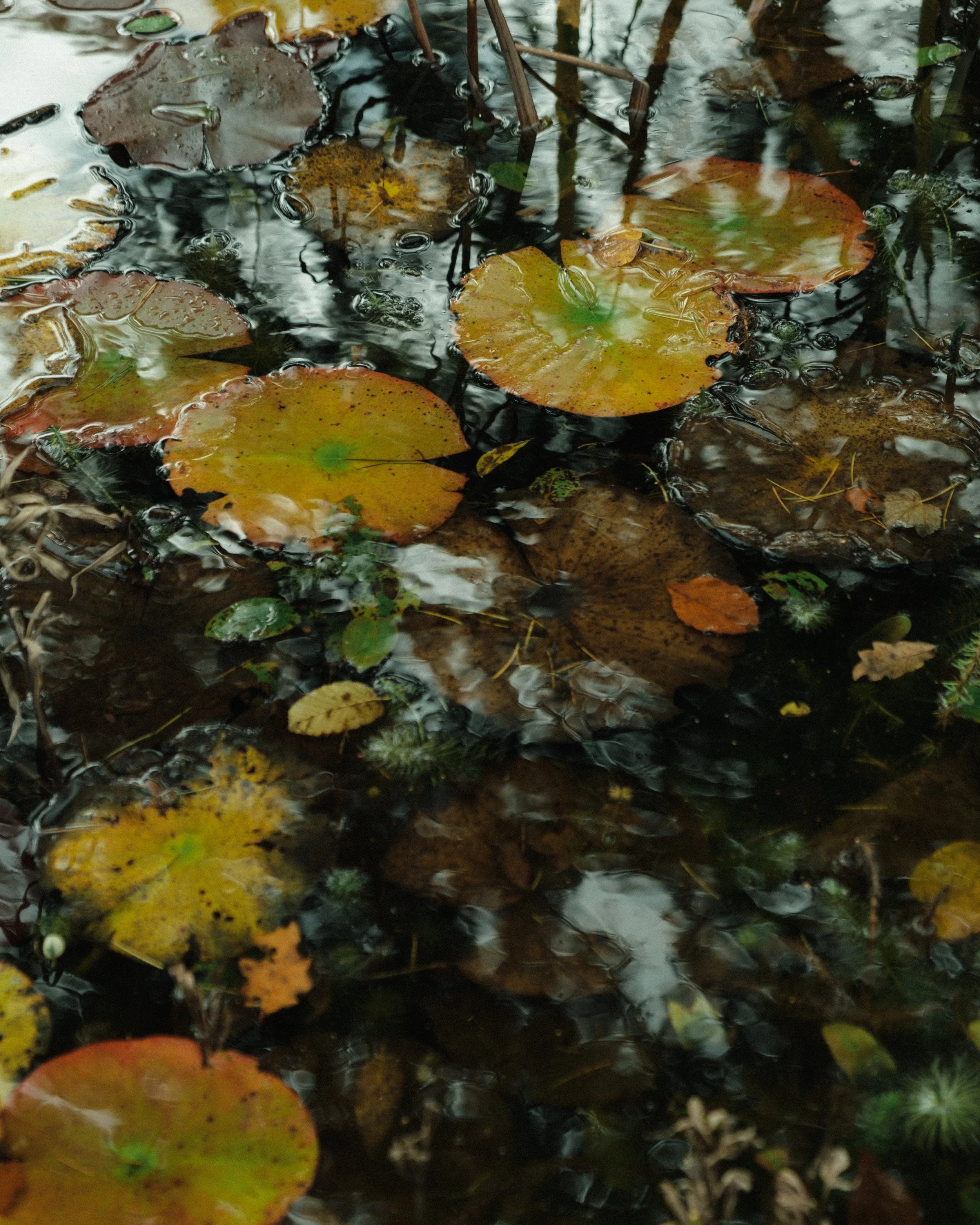 WESTWOOD HOUSE INSTA-23.jpg