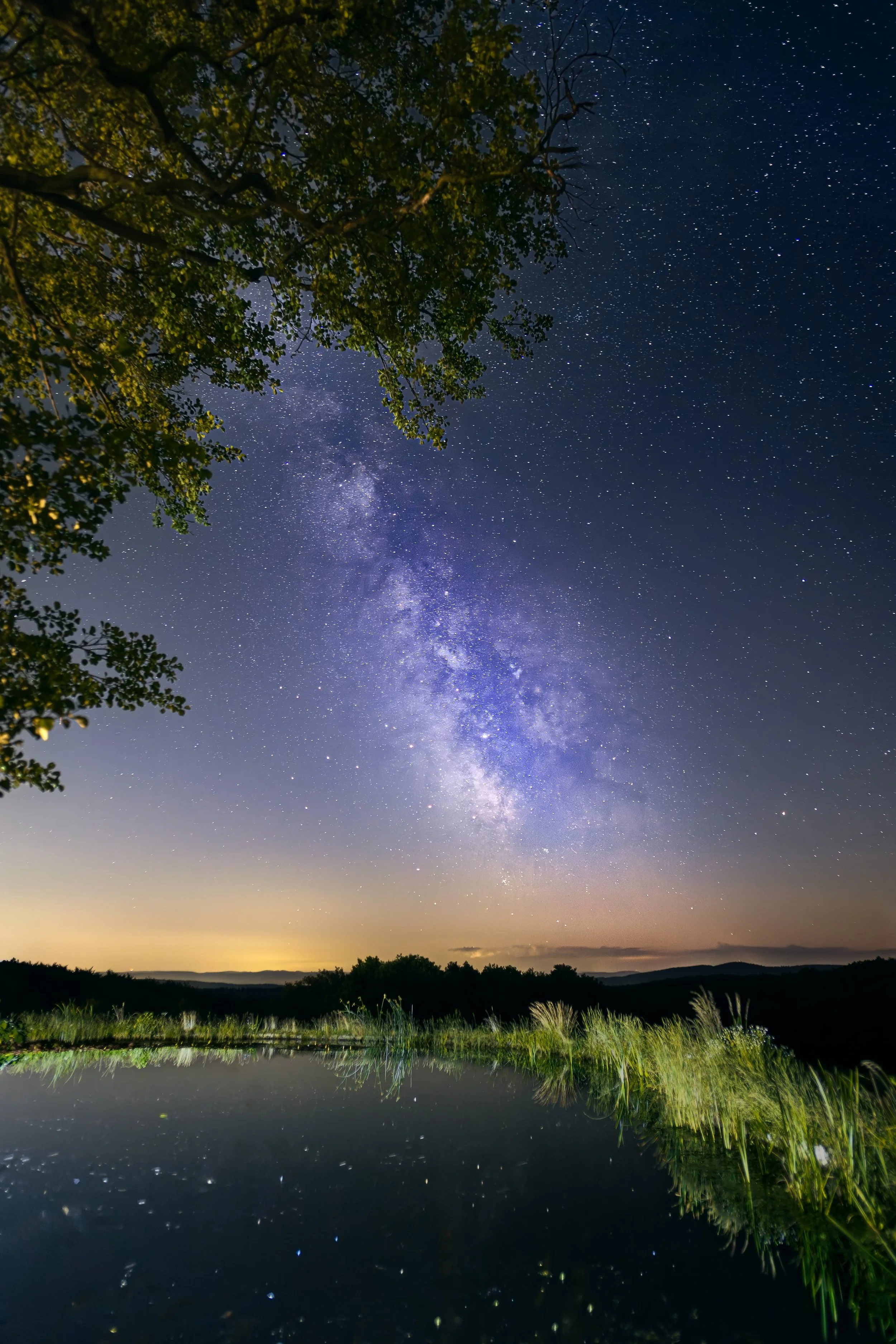 Sternenklarer Nachthimmel mit sichtbarer Milchstraße über einem ruhigen See mit grünen Gräsern, Bäumen und Hügeln im Hintergrund.