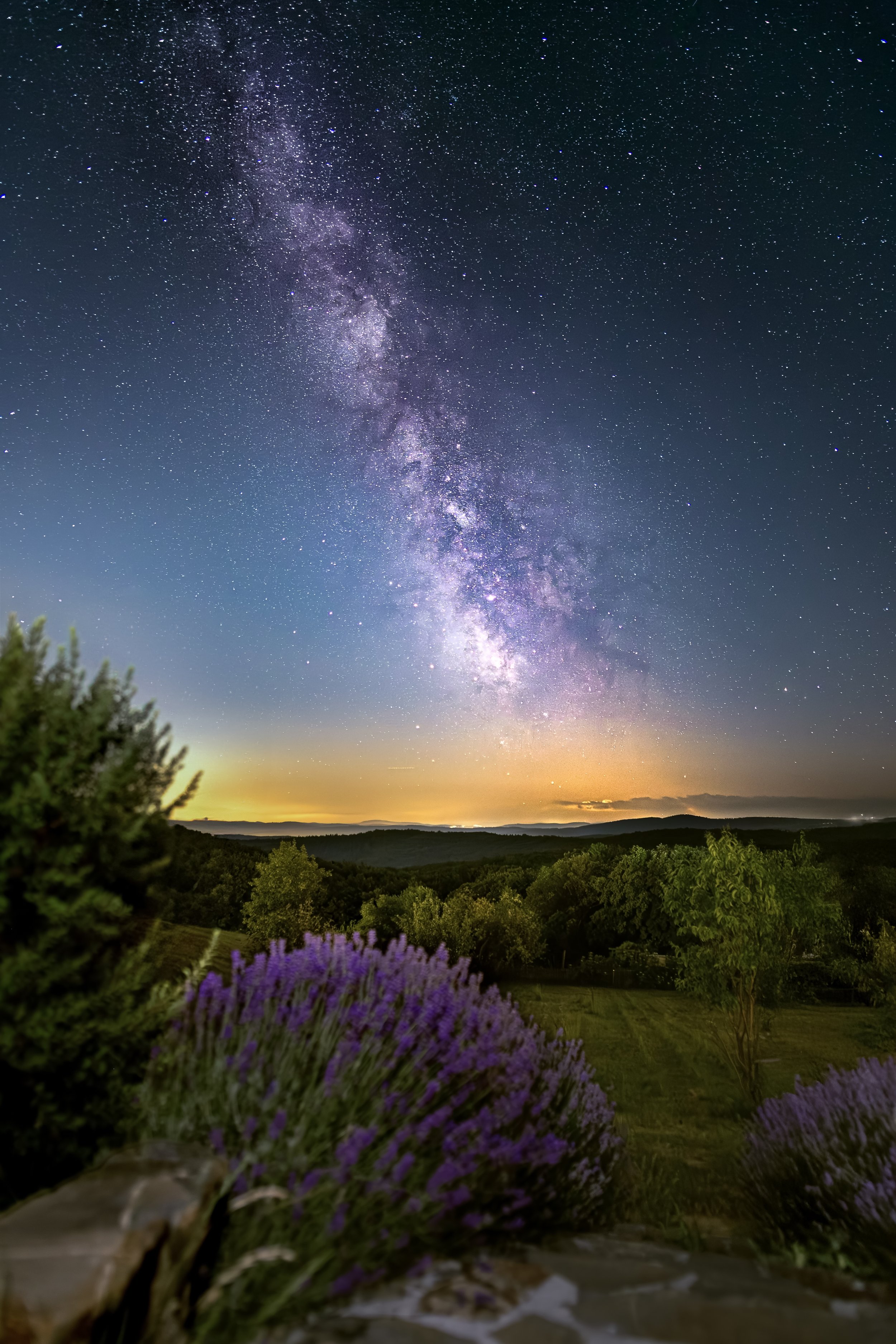 Sternenhimmel über einem ländlichen Gebiet mit Büschen und B trees, sane