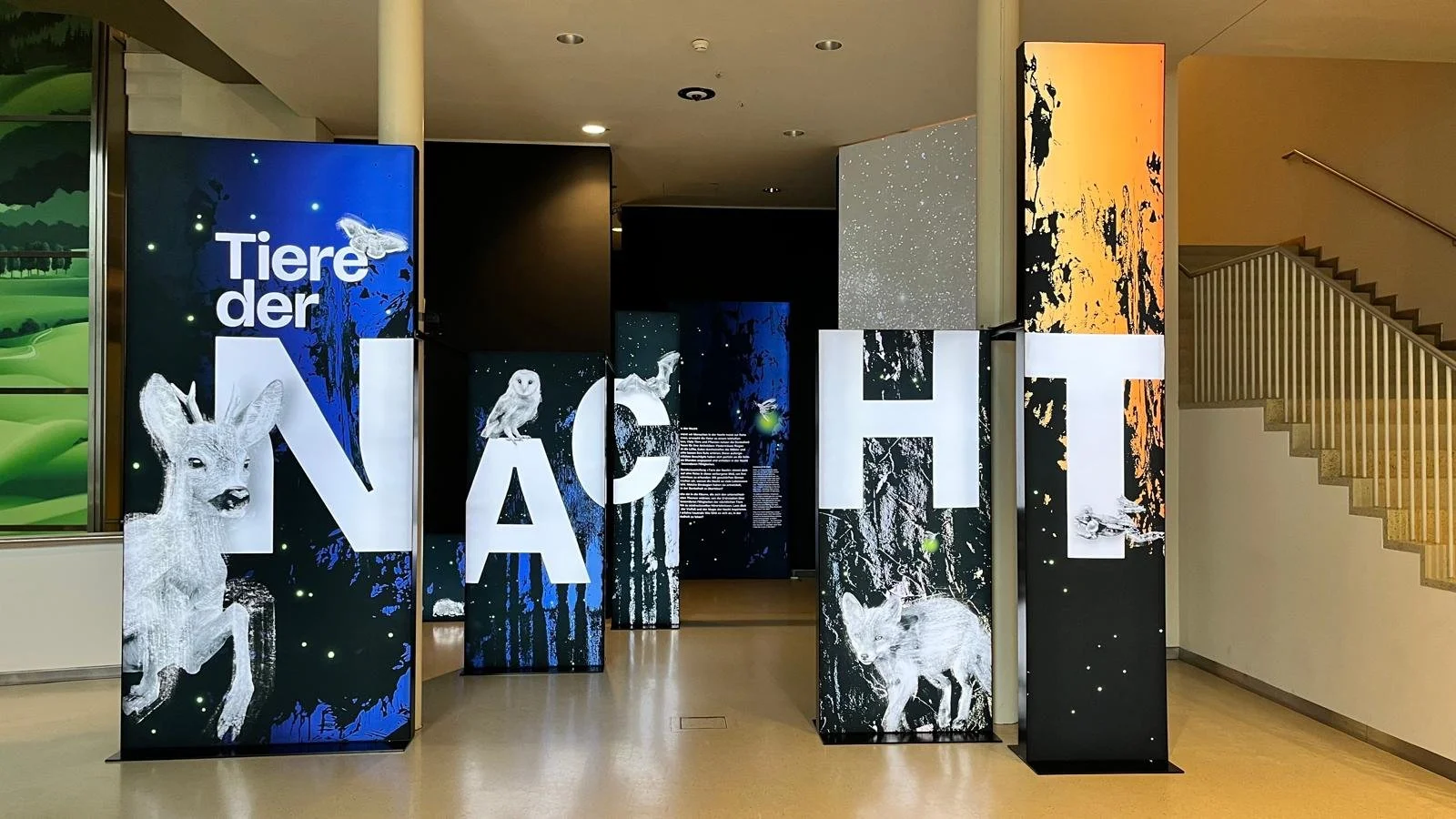 Ausstellungstafeln mit dem Titel 'Tiere der NOC', die verschiedene Tiere wie Reh, Eule, Wildschwein und andere illustrativ auf bunten, künstlerischen Hintergründen zeigen.