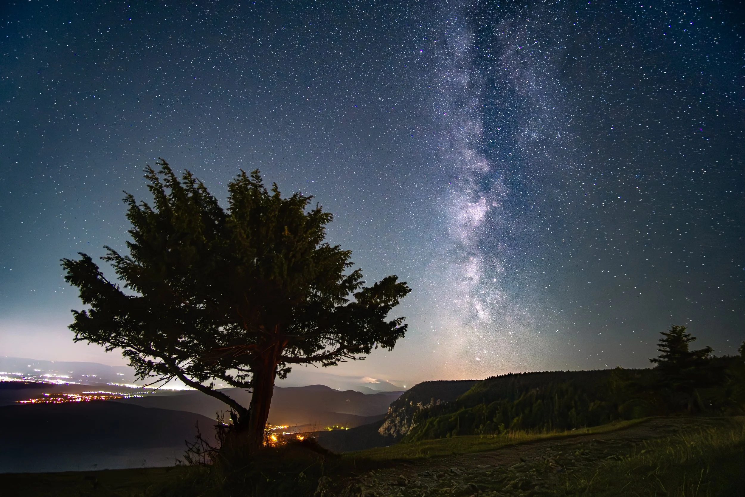 Sternennacht mit Blick auf den Himmel, voll Sterne und die Milchstraße, über einer Landschaft mit einem großen Baum und Hügeln im Vordergrund