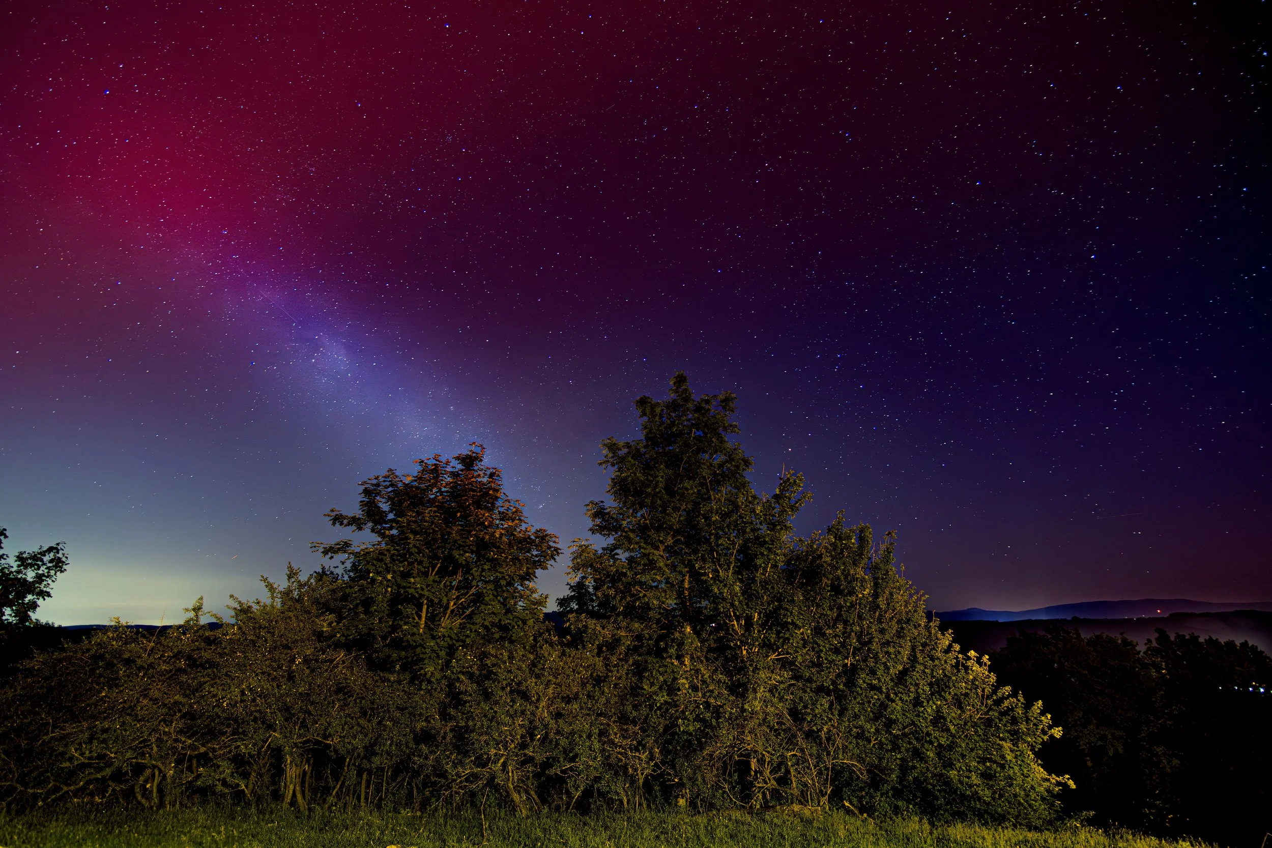 Sternenklare Nacht über bewaldetem Hügel mit sichtbarem Himmel voller Sterne und der Milchstraße.
